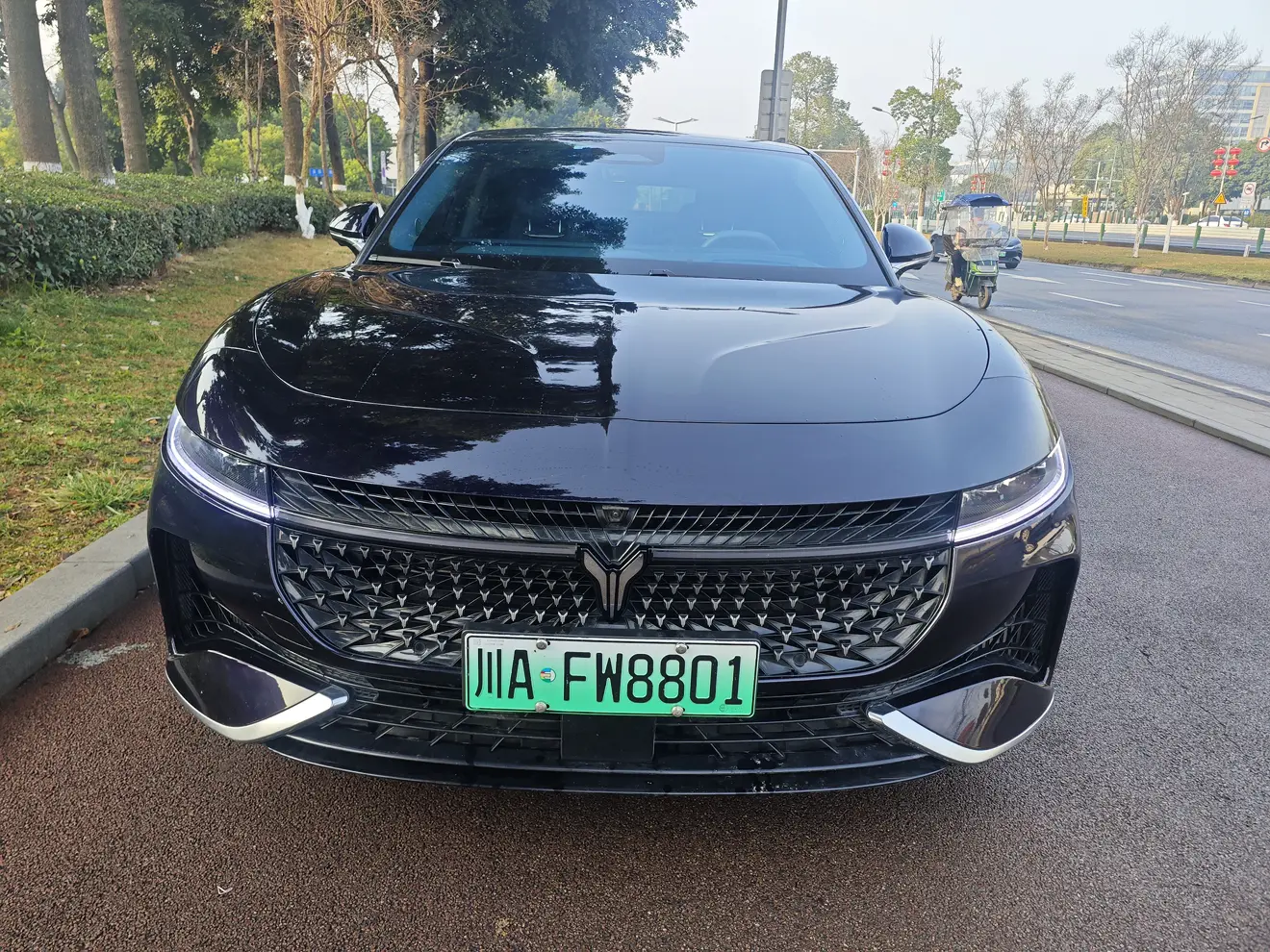 Voyah Passion PHEV  из Китая