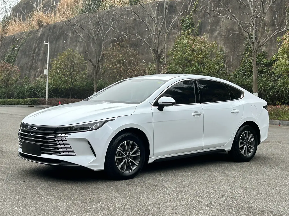 BYD Destroyer 05  из Китая