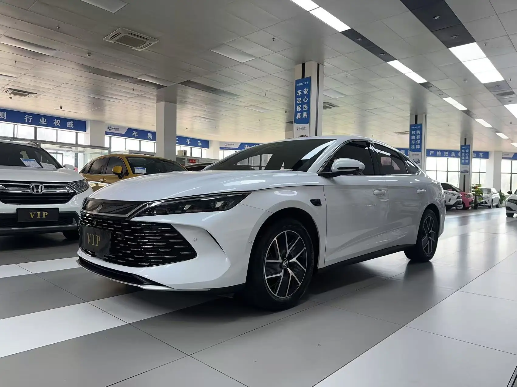 BYD Qin L DM