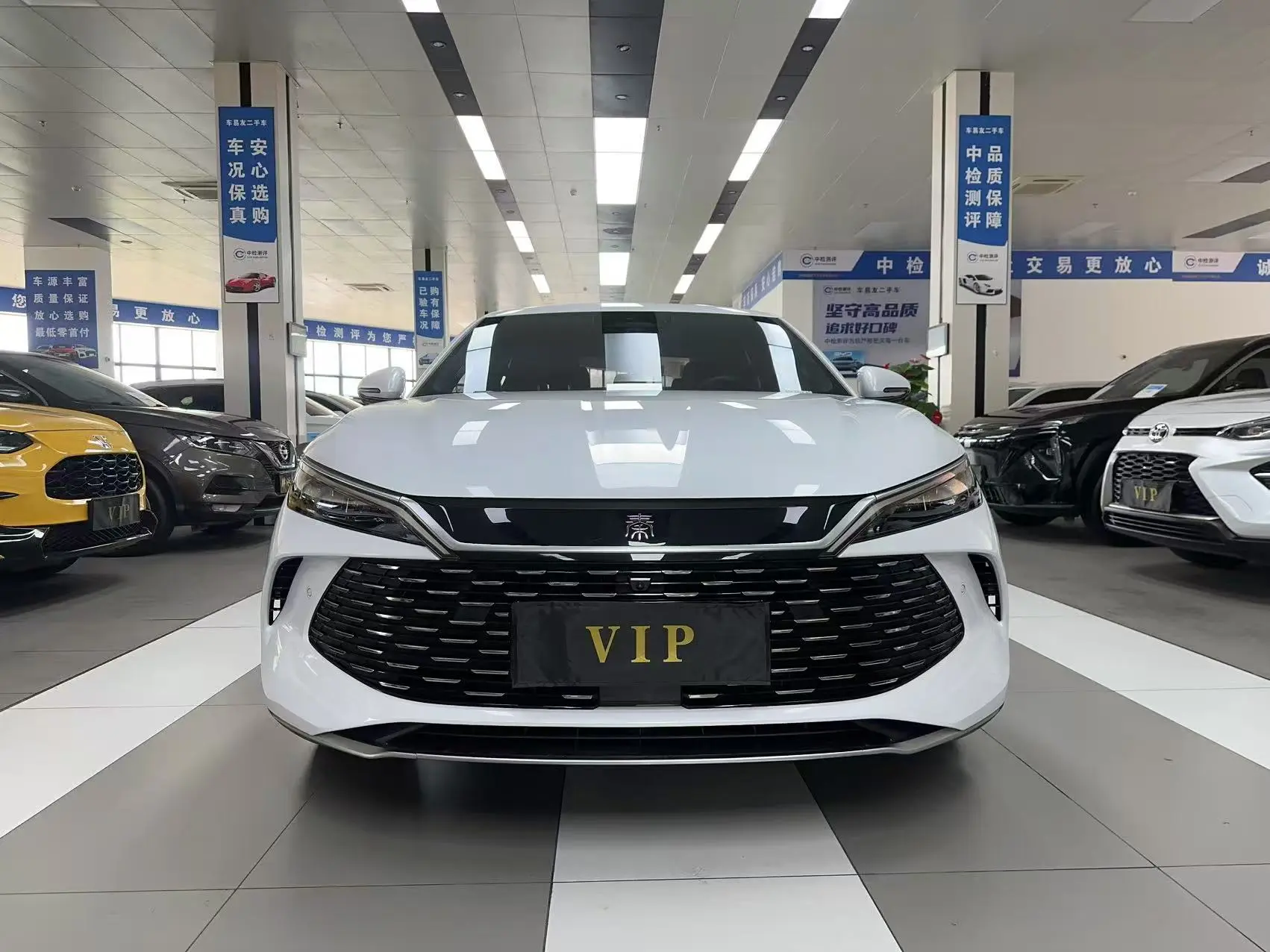 BYD Qin L DM
