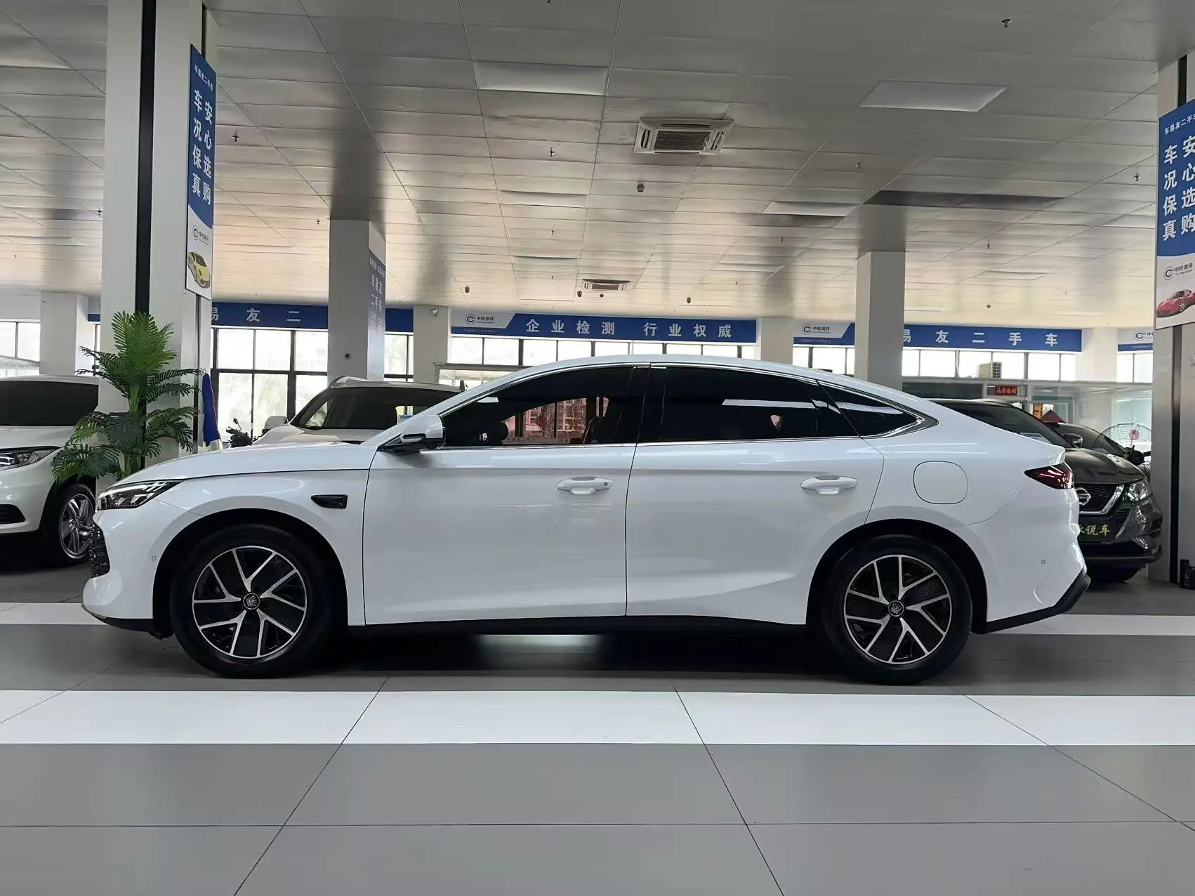 BYD Qin L DM