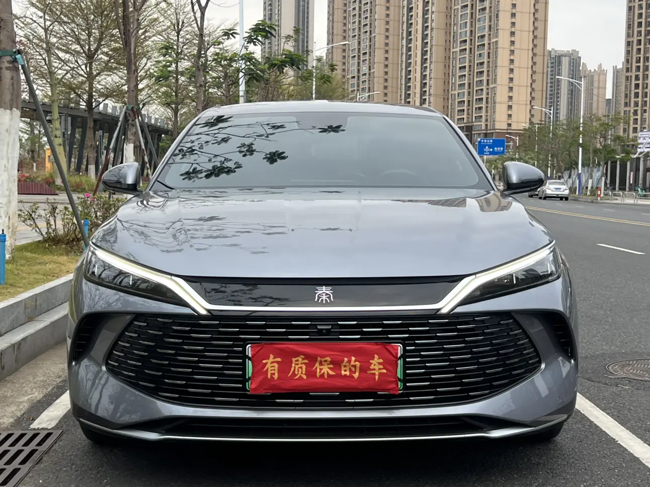 BYD Qin L DM  из Китая