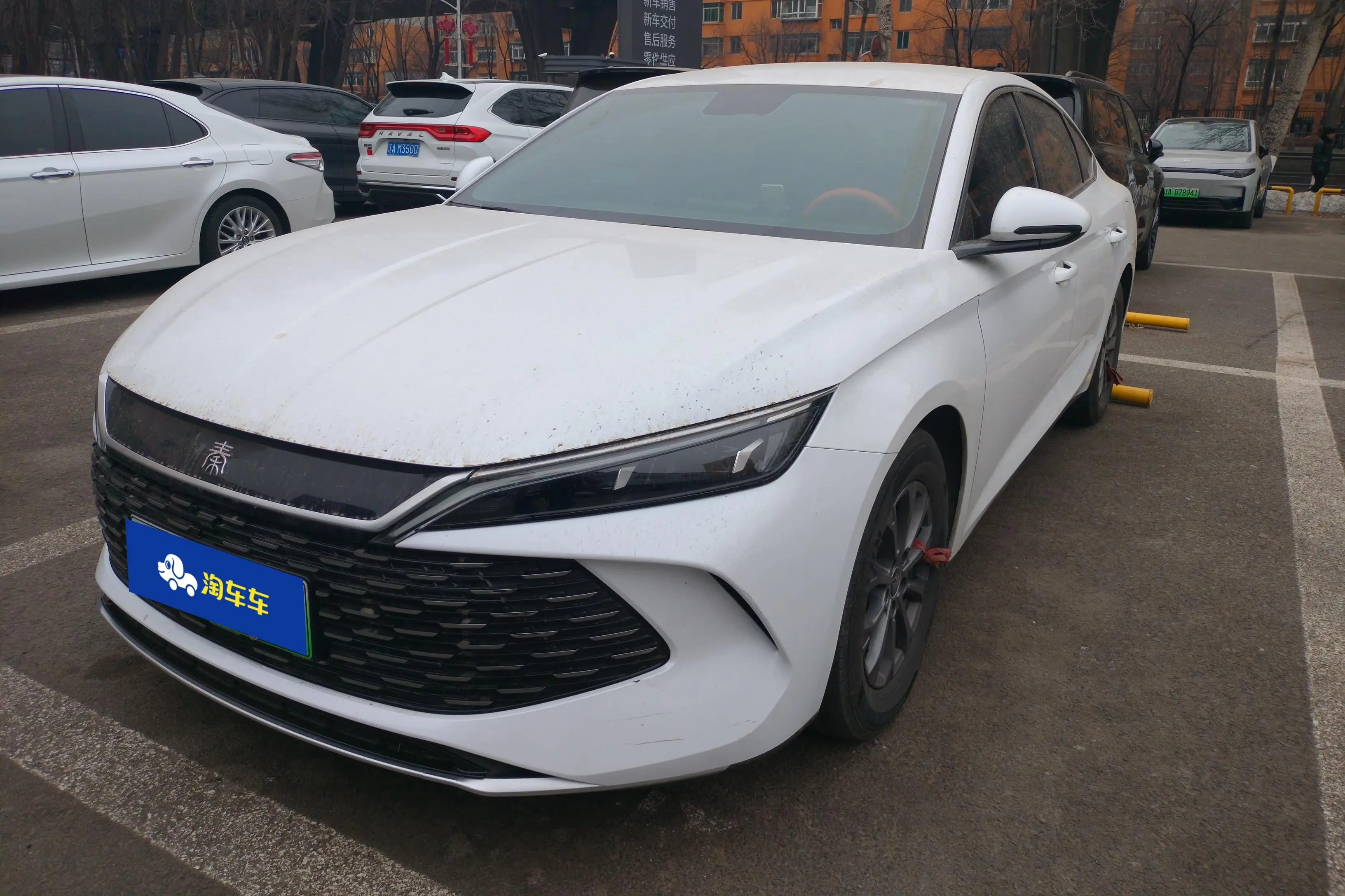 BYD Qin L DM  из Китая