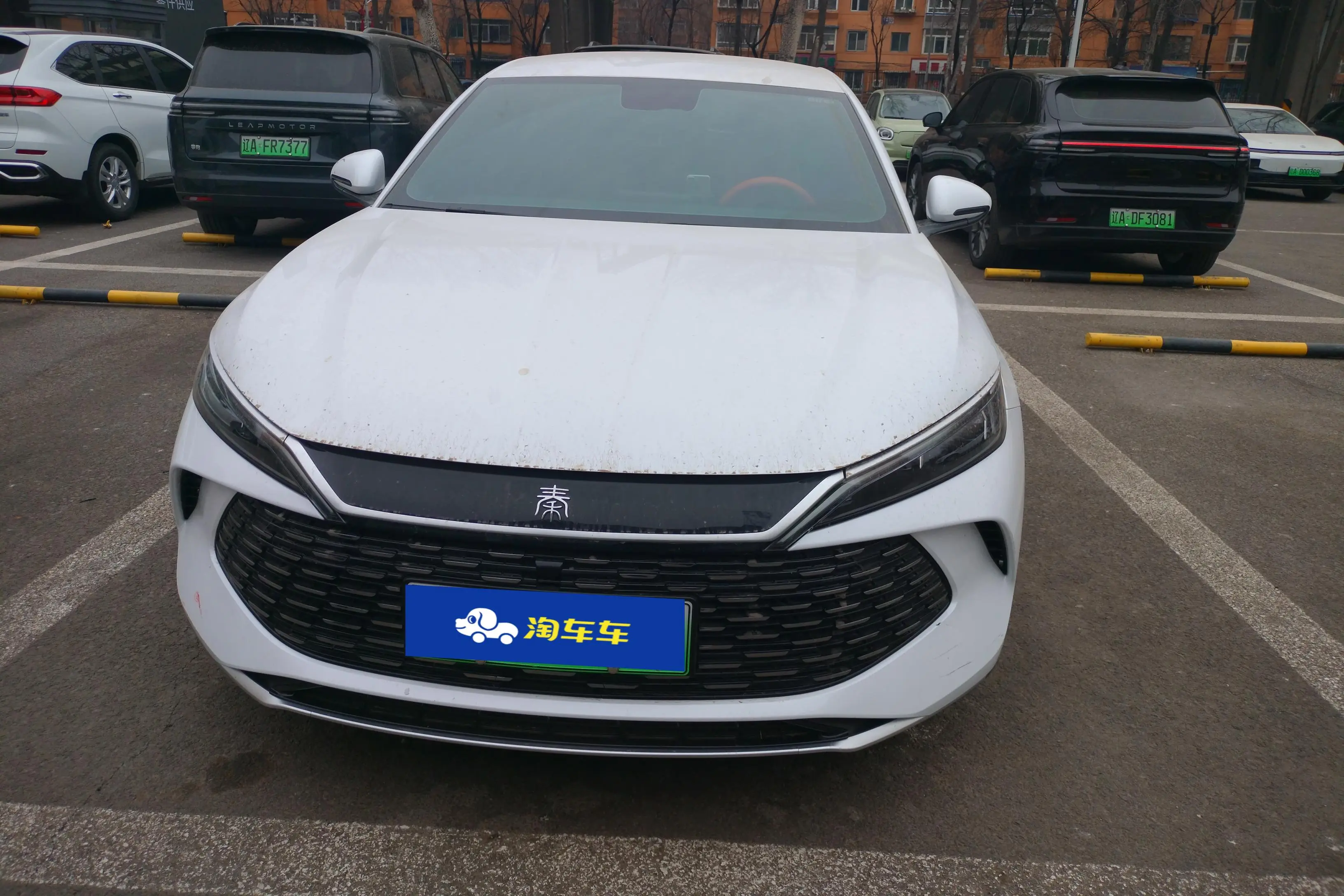 BYD Qin L DM  из Китая