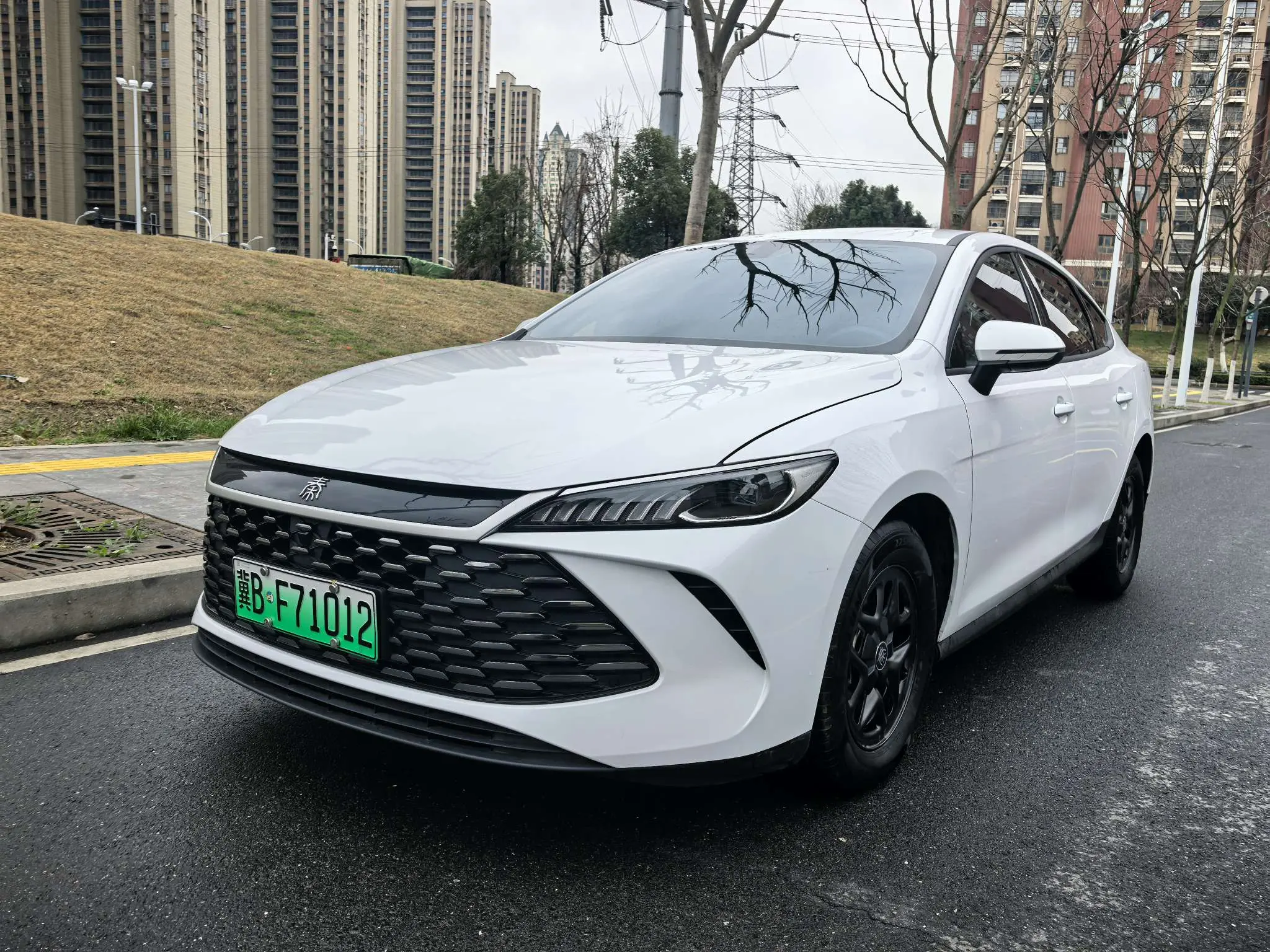 BYD Qin PLUS DM  из Китая