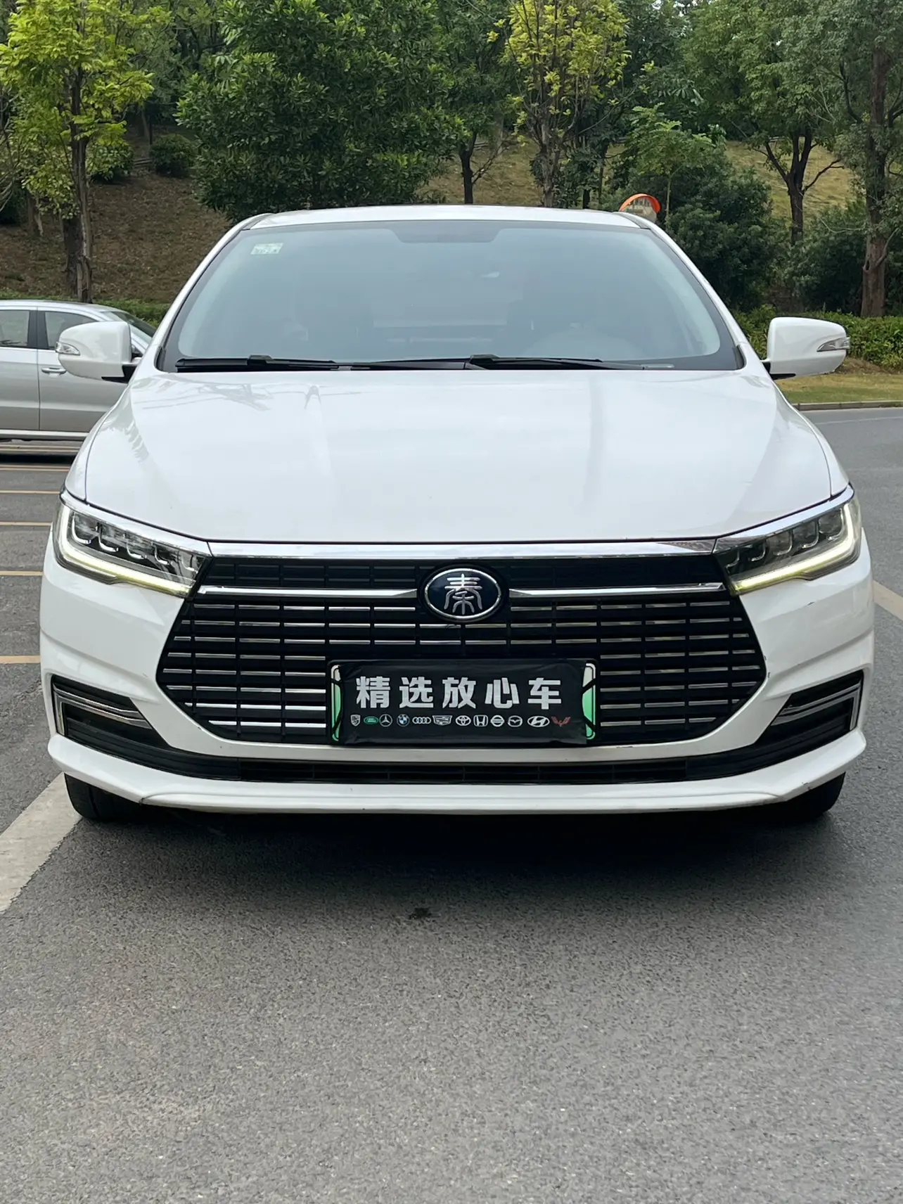 BYD QinEV  из Китая