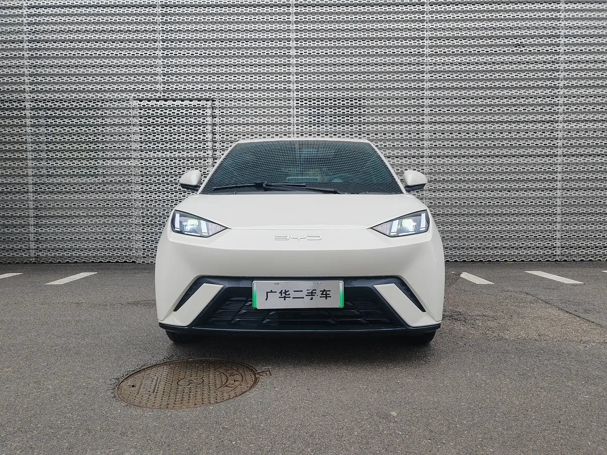 BYD Seagull  из Китая