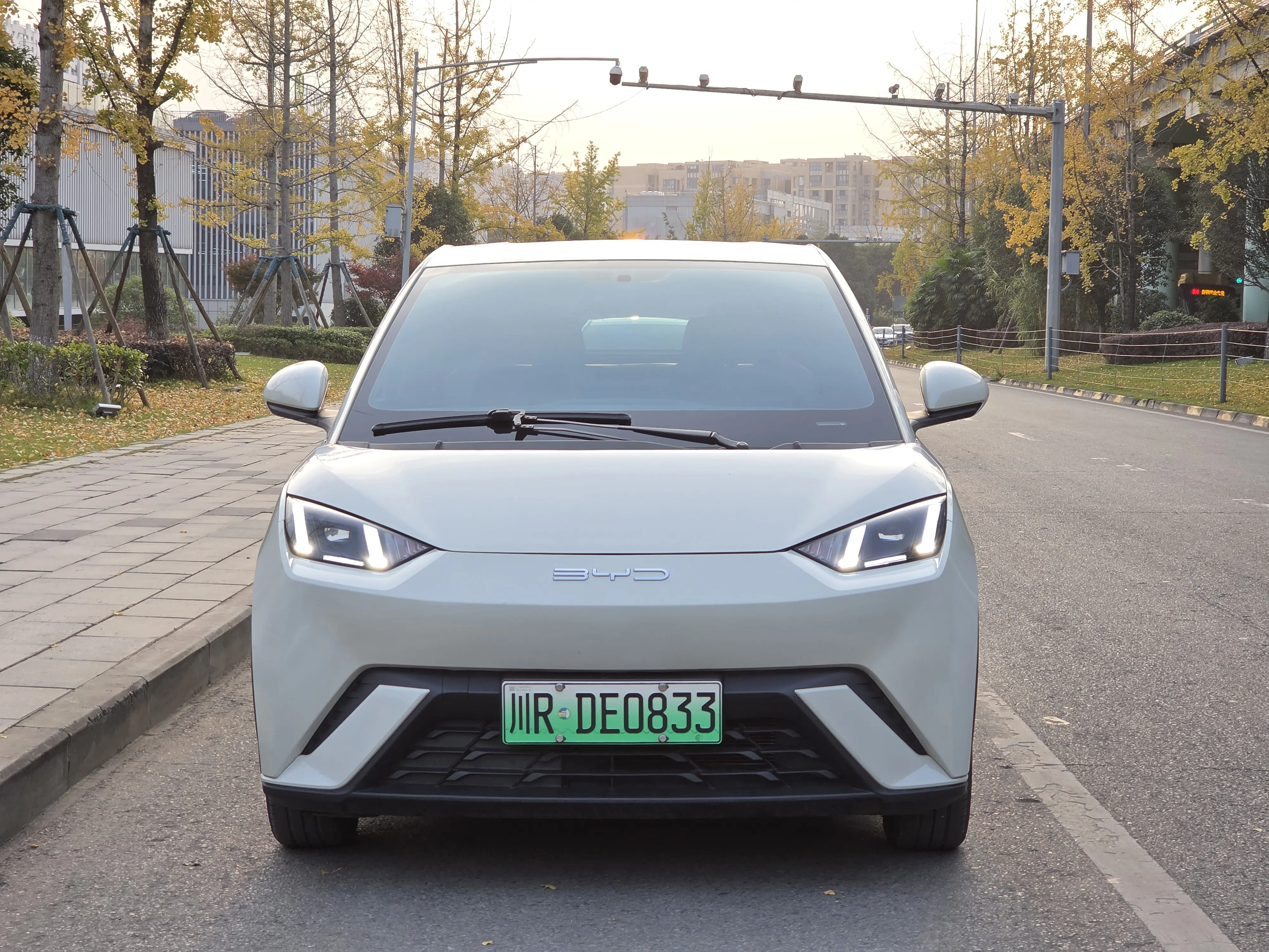 BYD Seagull  из Китая