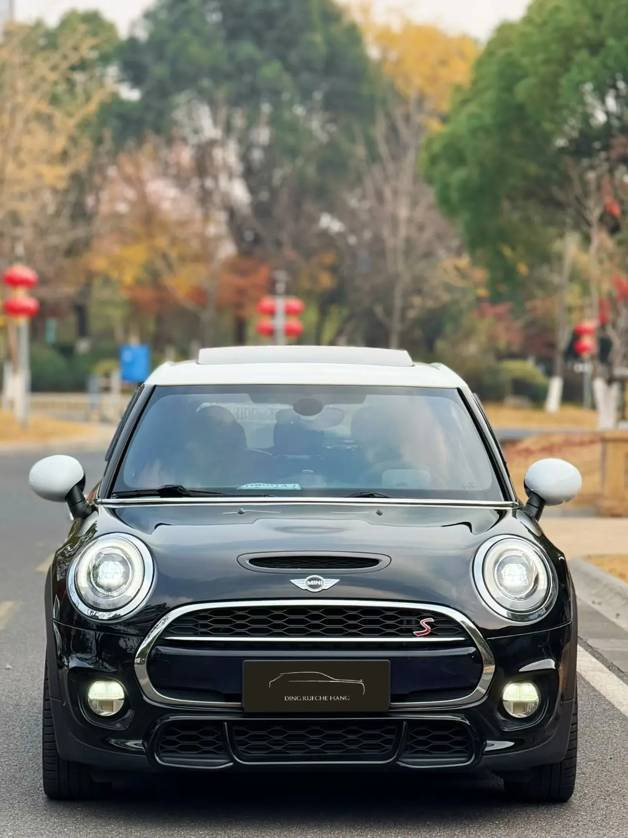 MINI 