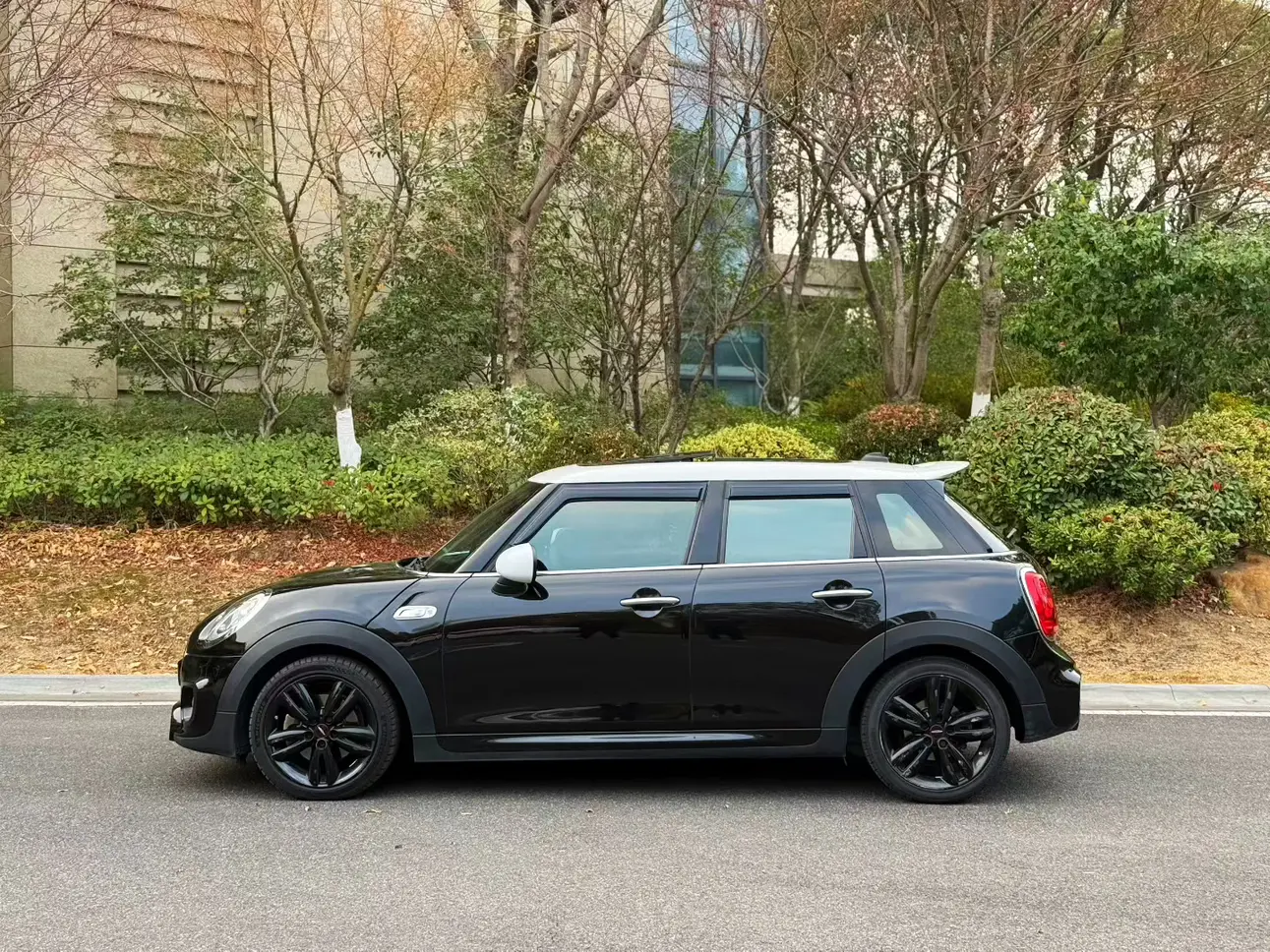 MINI 