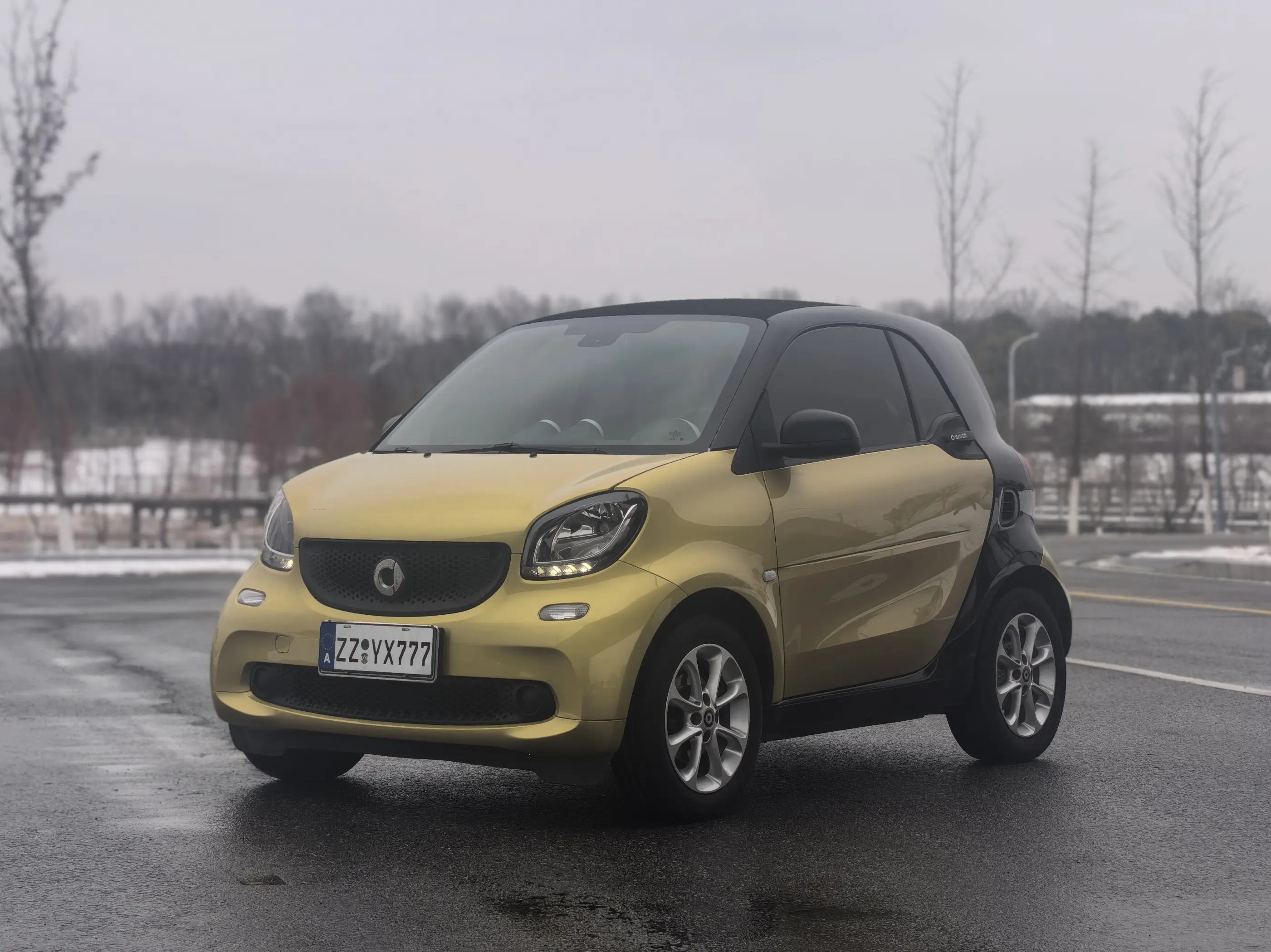 Smart fortwo  из Китая