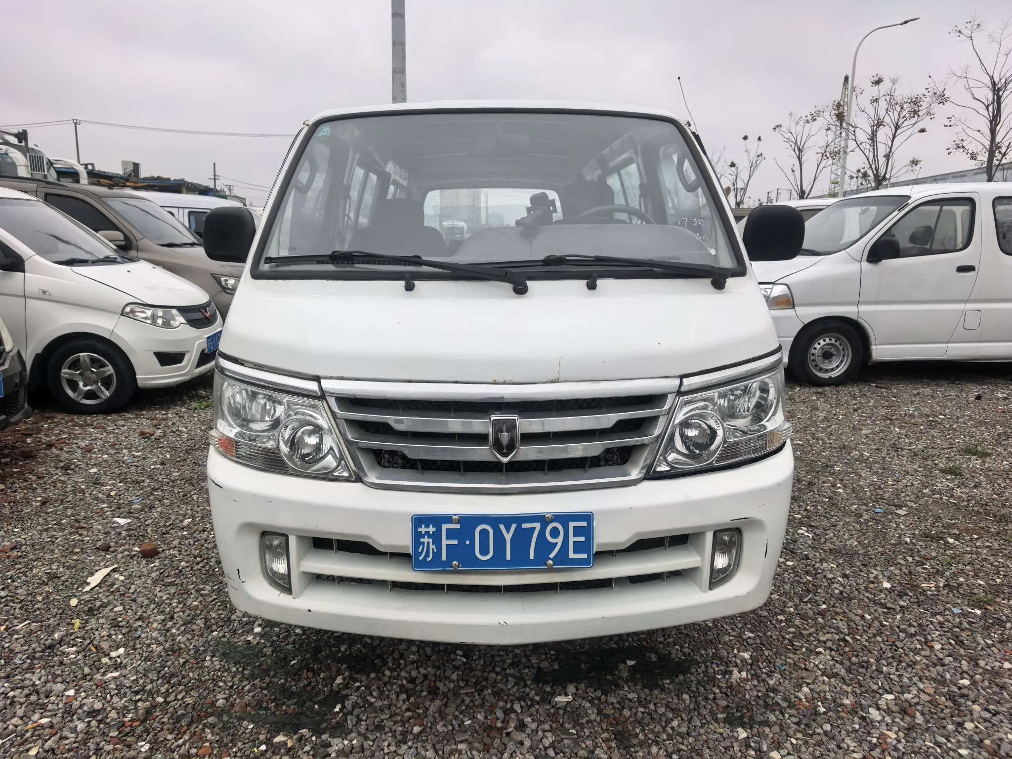 Golden cup sea lion  из Китая