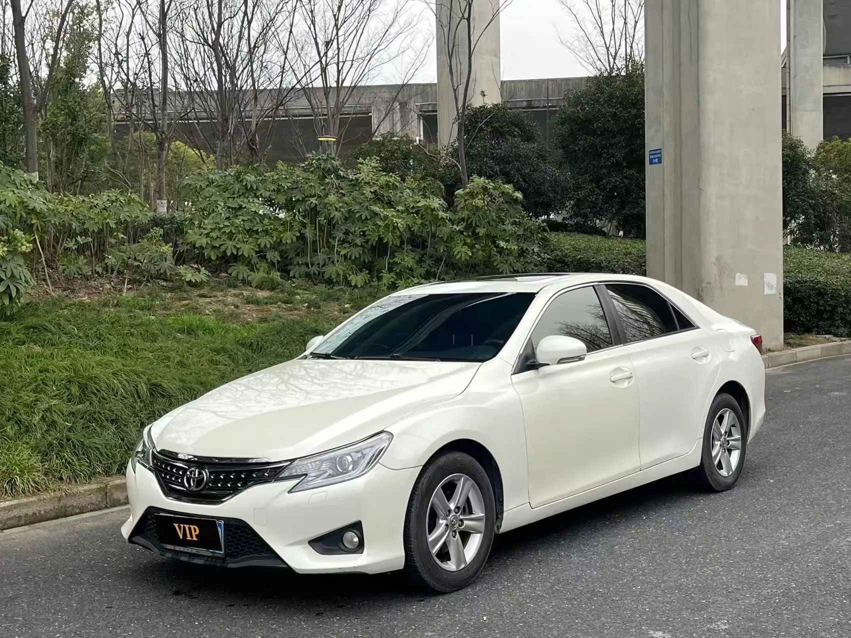 Toyota Ruizhi