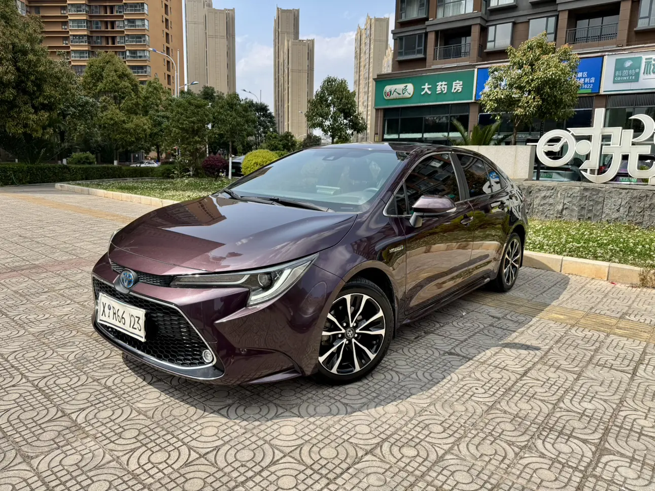 Toyota Levin