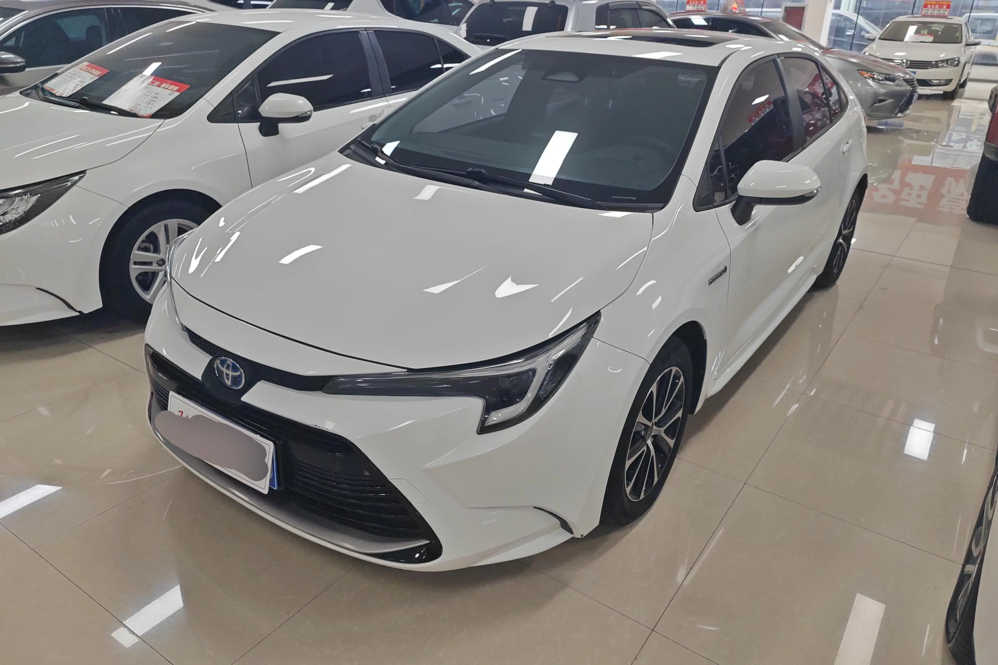 Toyota Levin