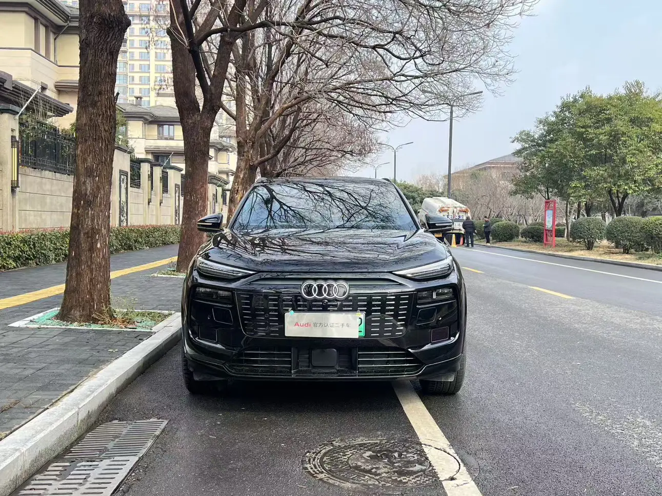 Audi Q6L e-tron  из Китая