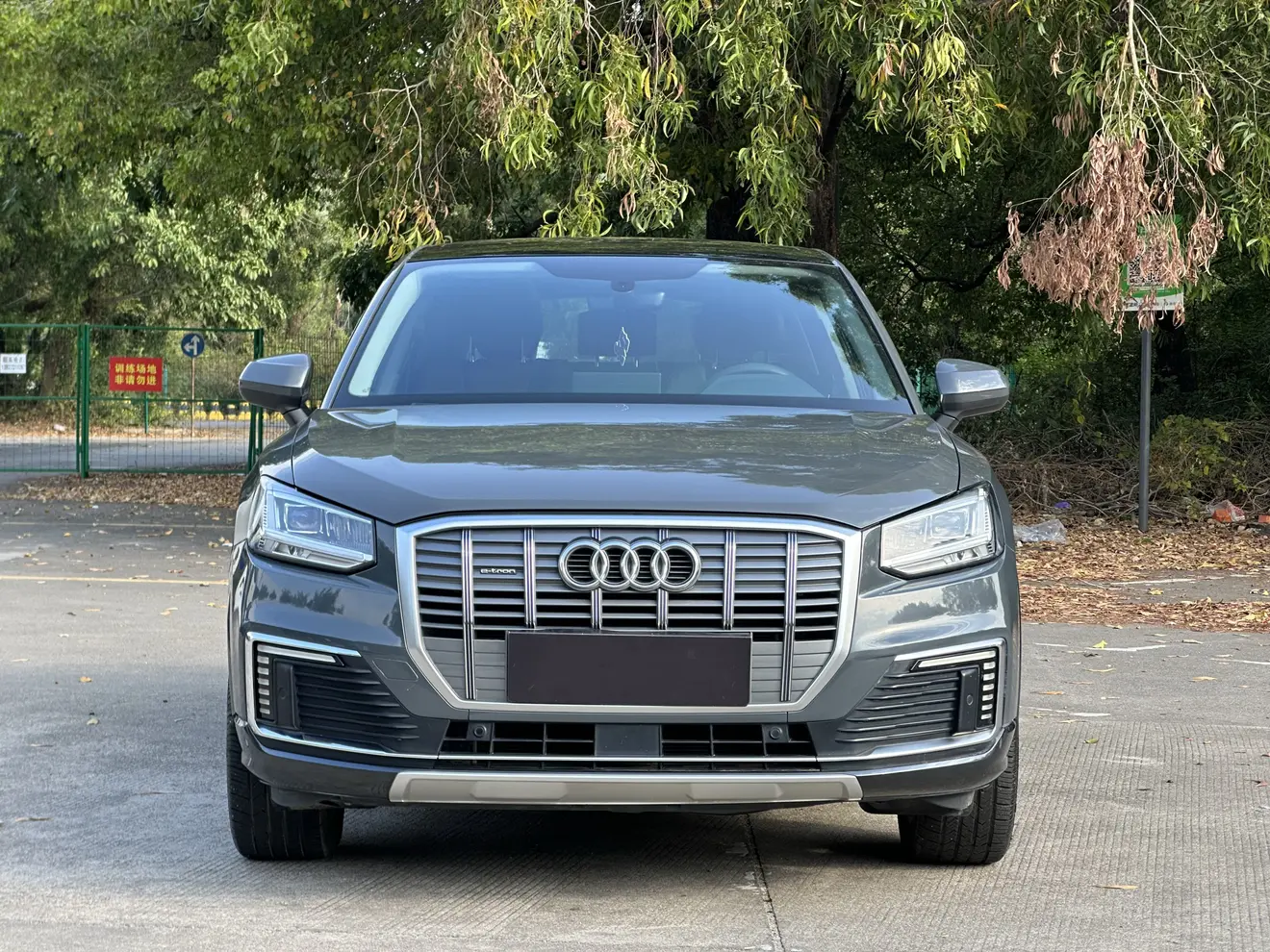 Audi Q2L e-tron  из Китая