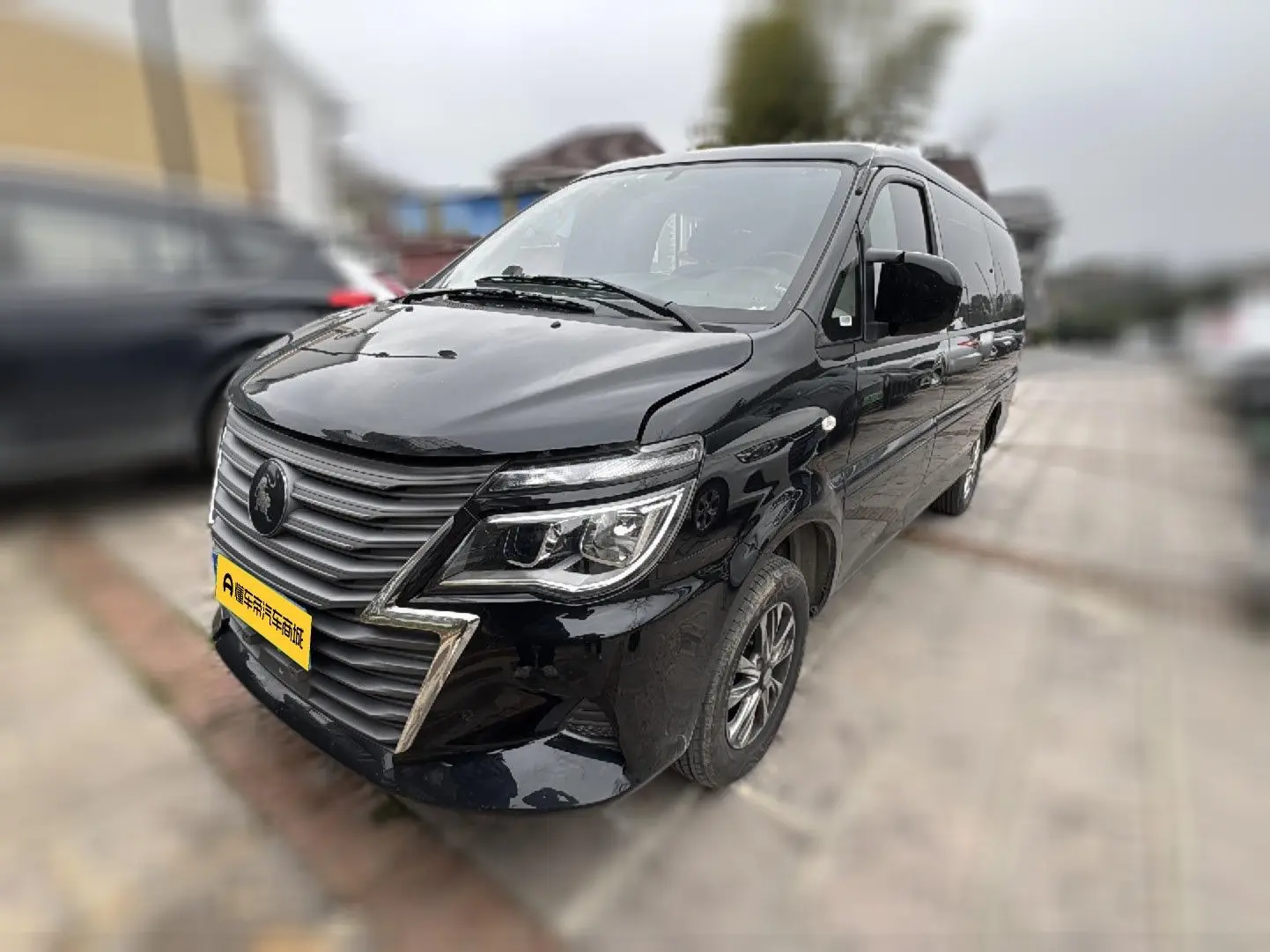 Forthing Lingzhi  из Китая