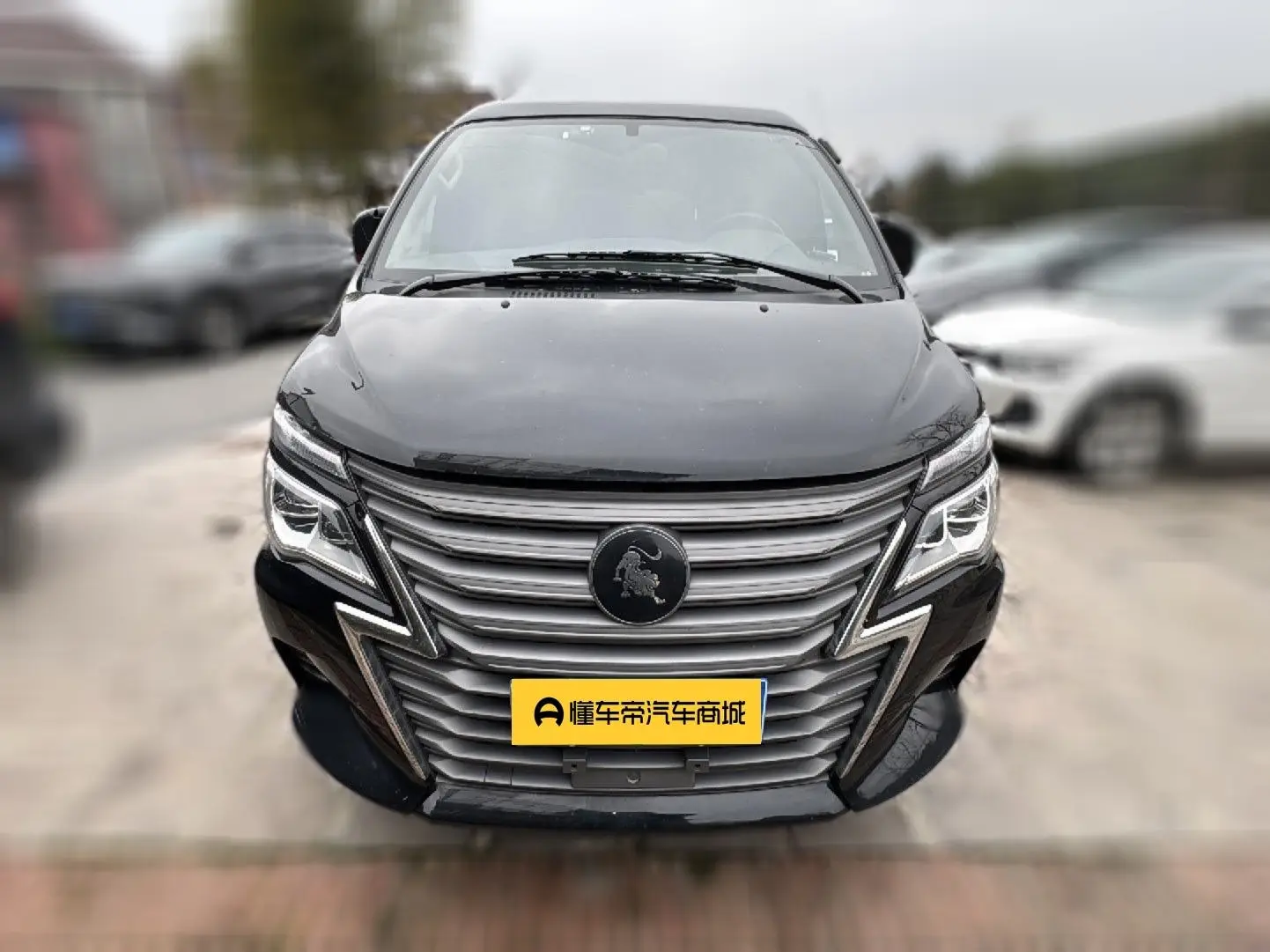 Forthing Lingzhi  из Китая