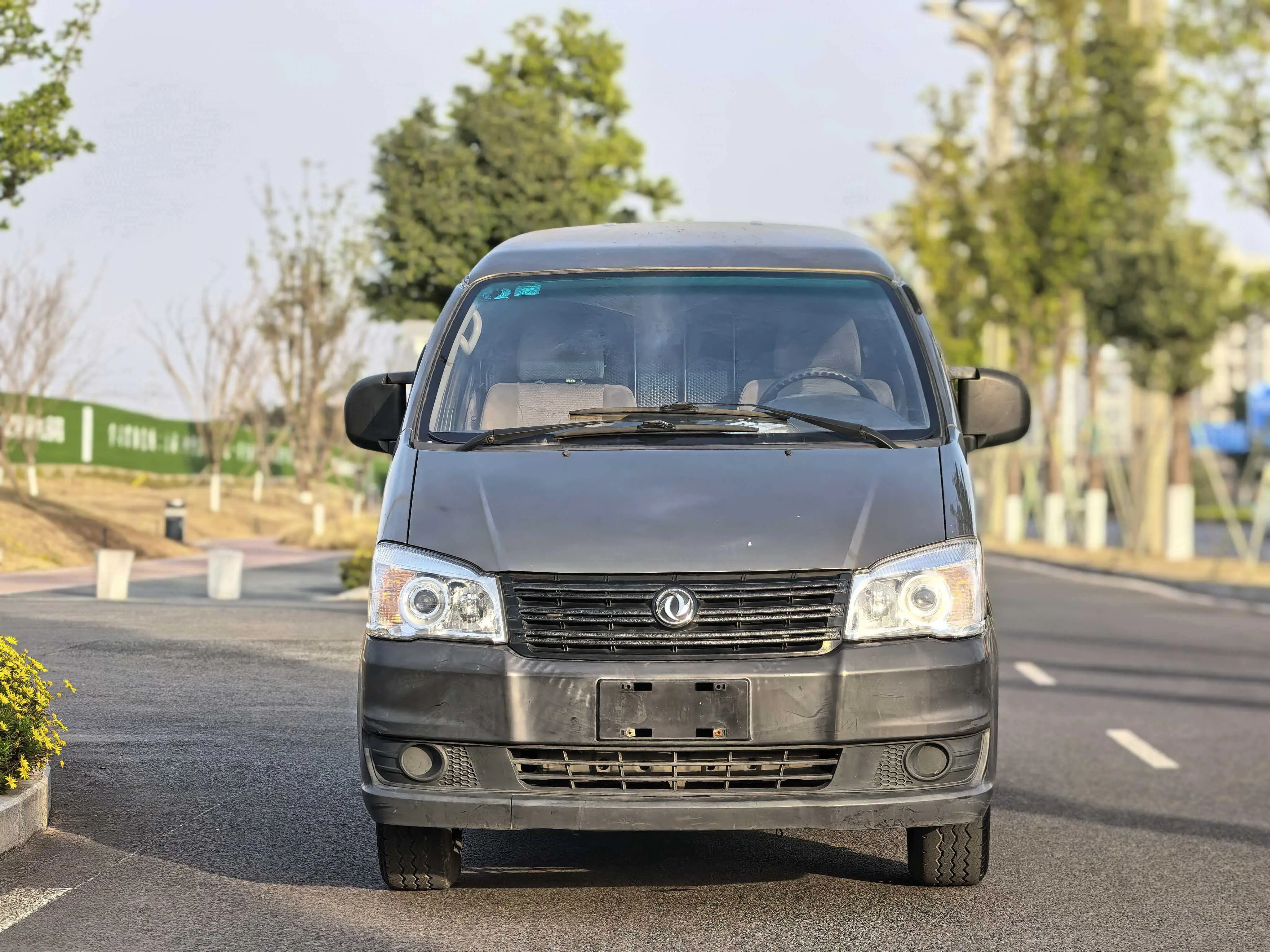 Forthing Lingzhi  из Китая