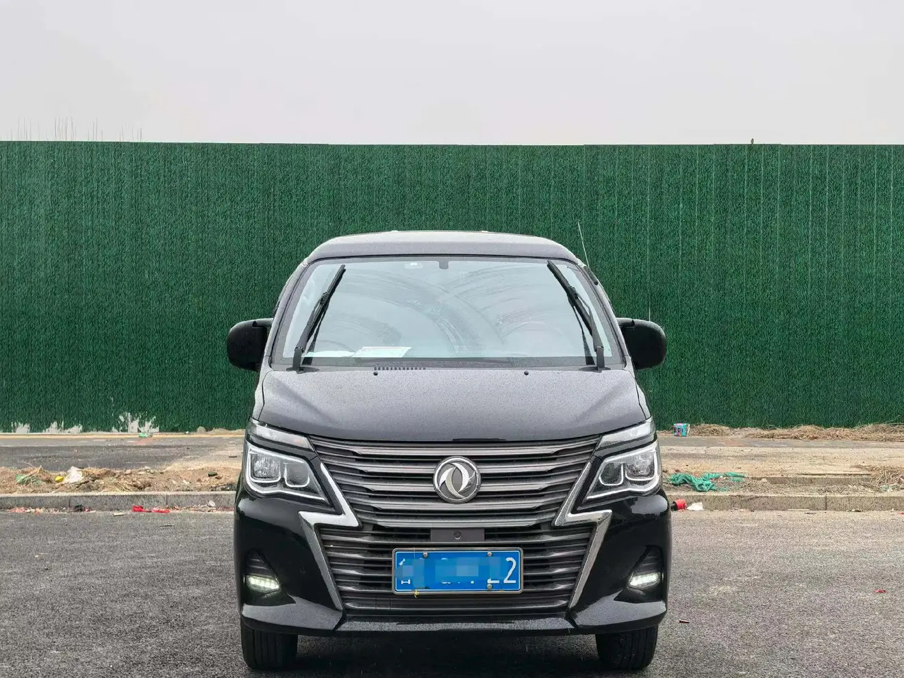 Forthing Lingzhi  из Китая