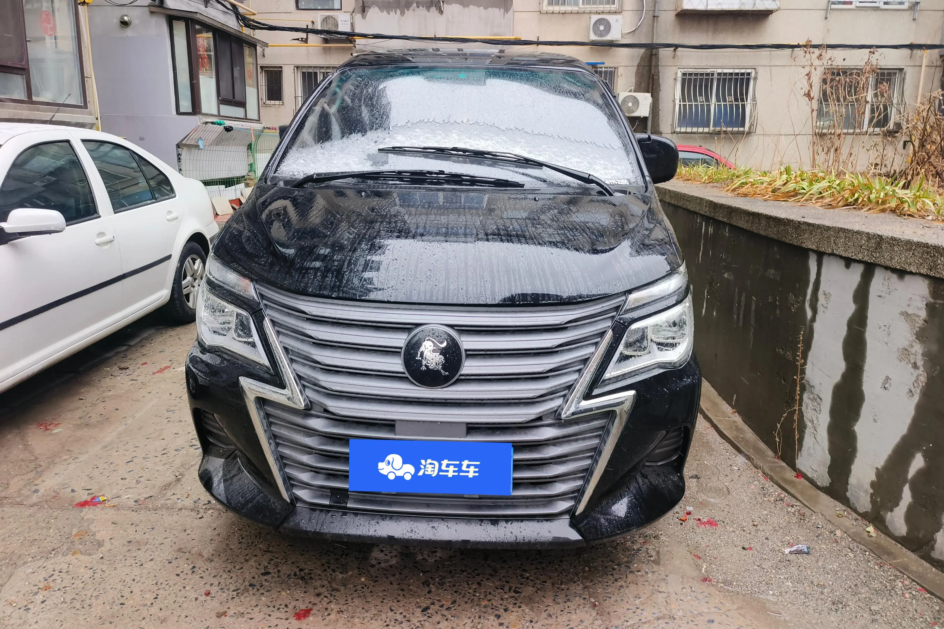 Forthing Lingzhi  из Китая