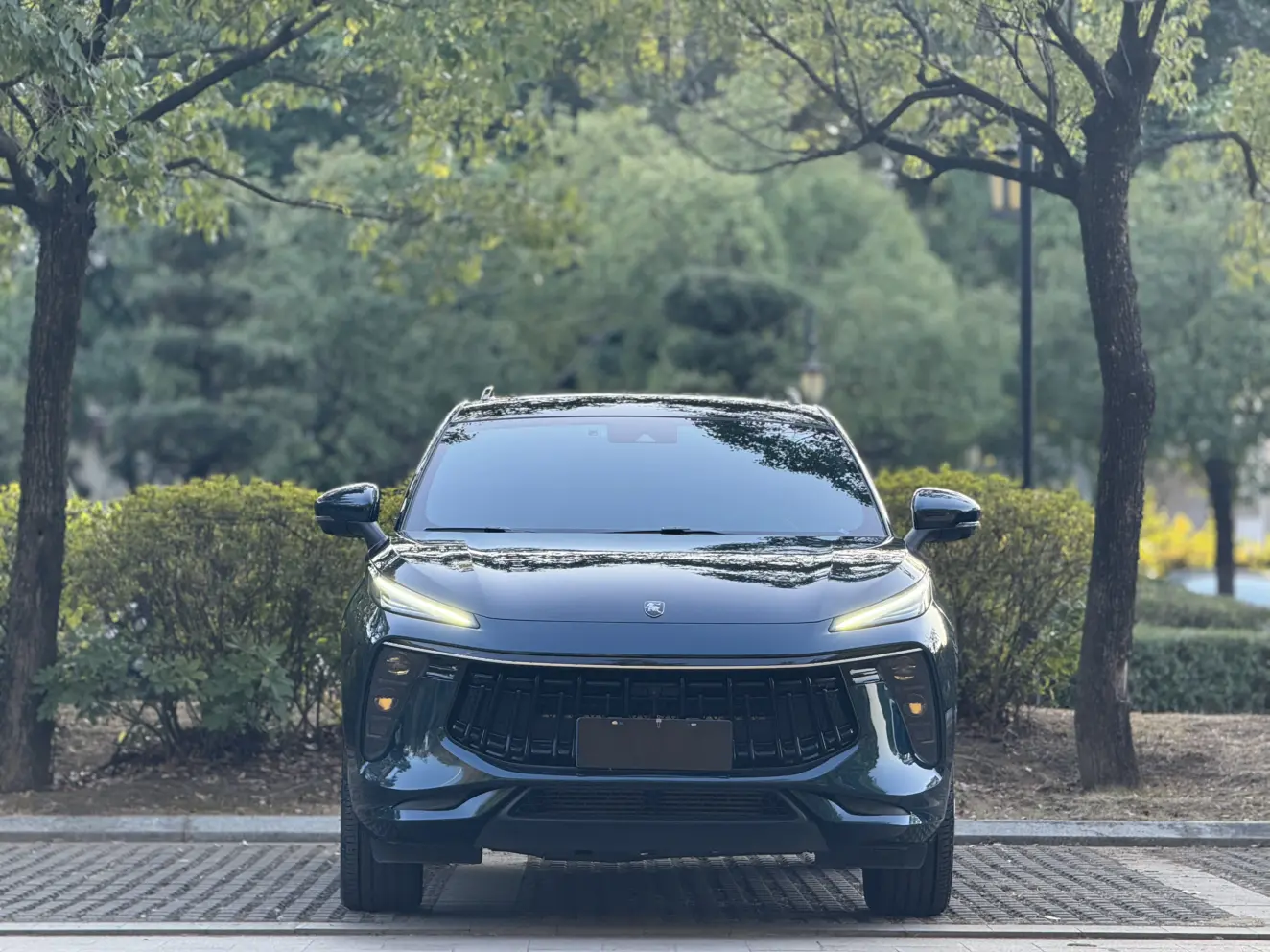 Forthing Fengxing T5 EVO  из Китая