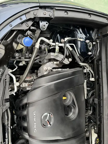 catalog-car-8