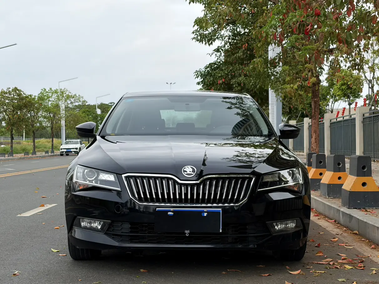 Skoda Speedy  из Китая