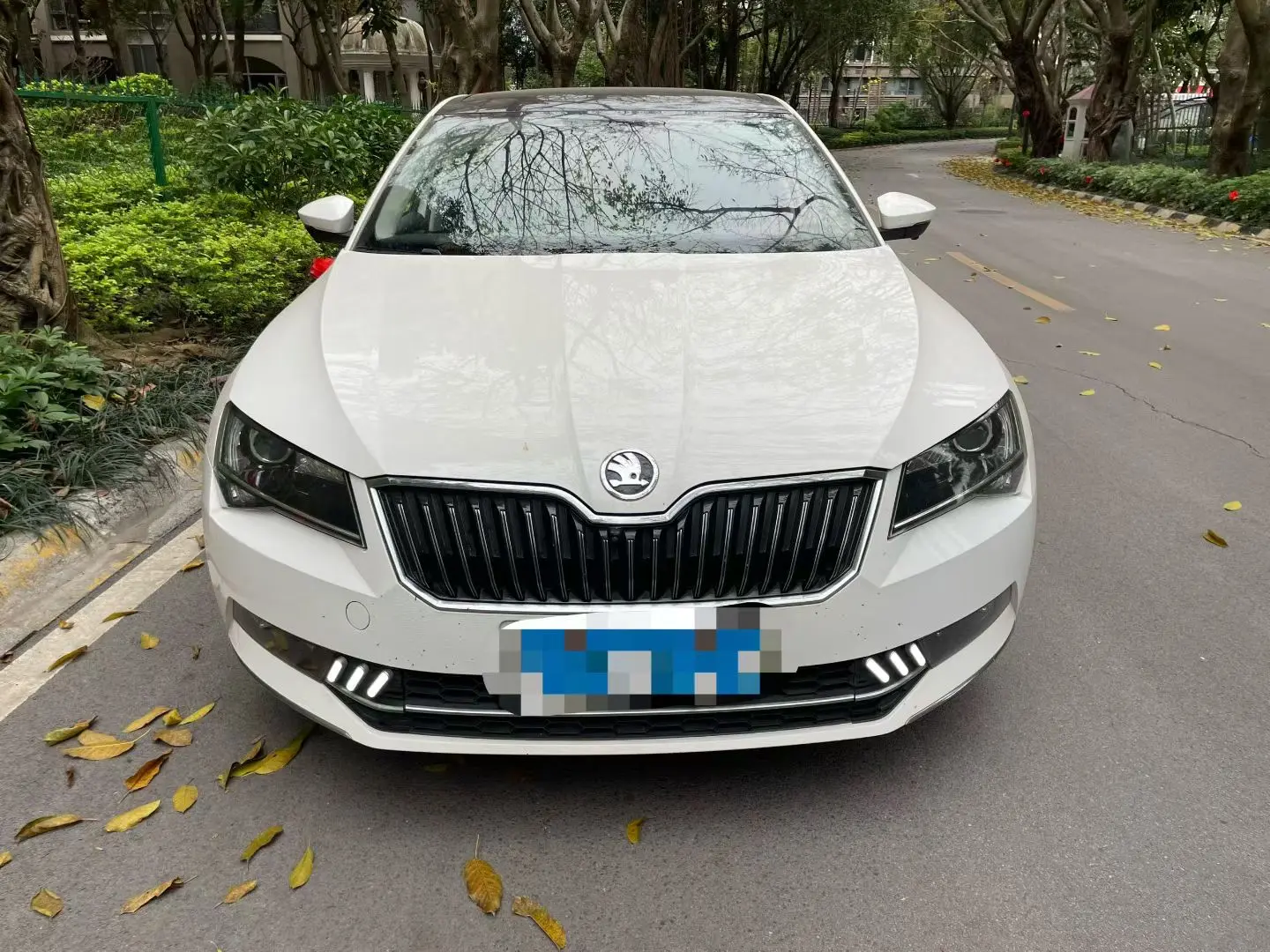 Skoda Speedy  из Китая