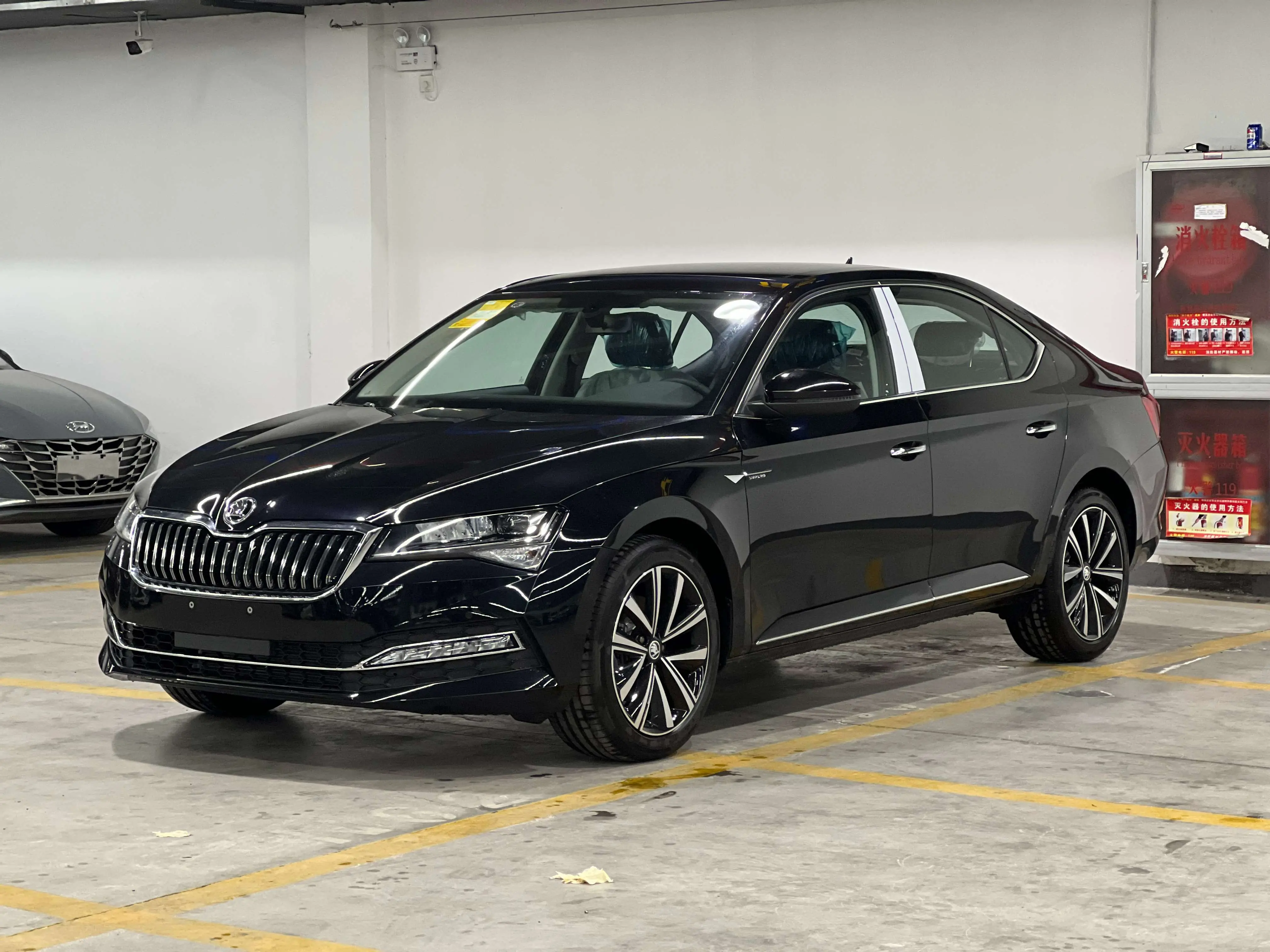 Skoda Speedy