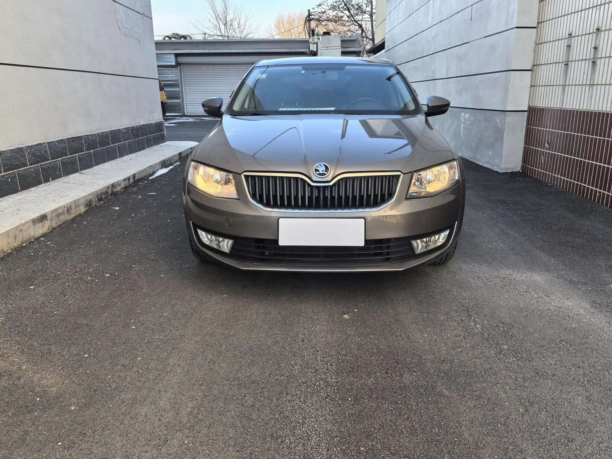 Skoda Octavia  из Китая