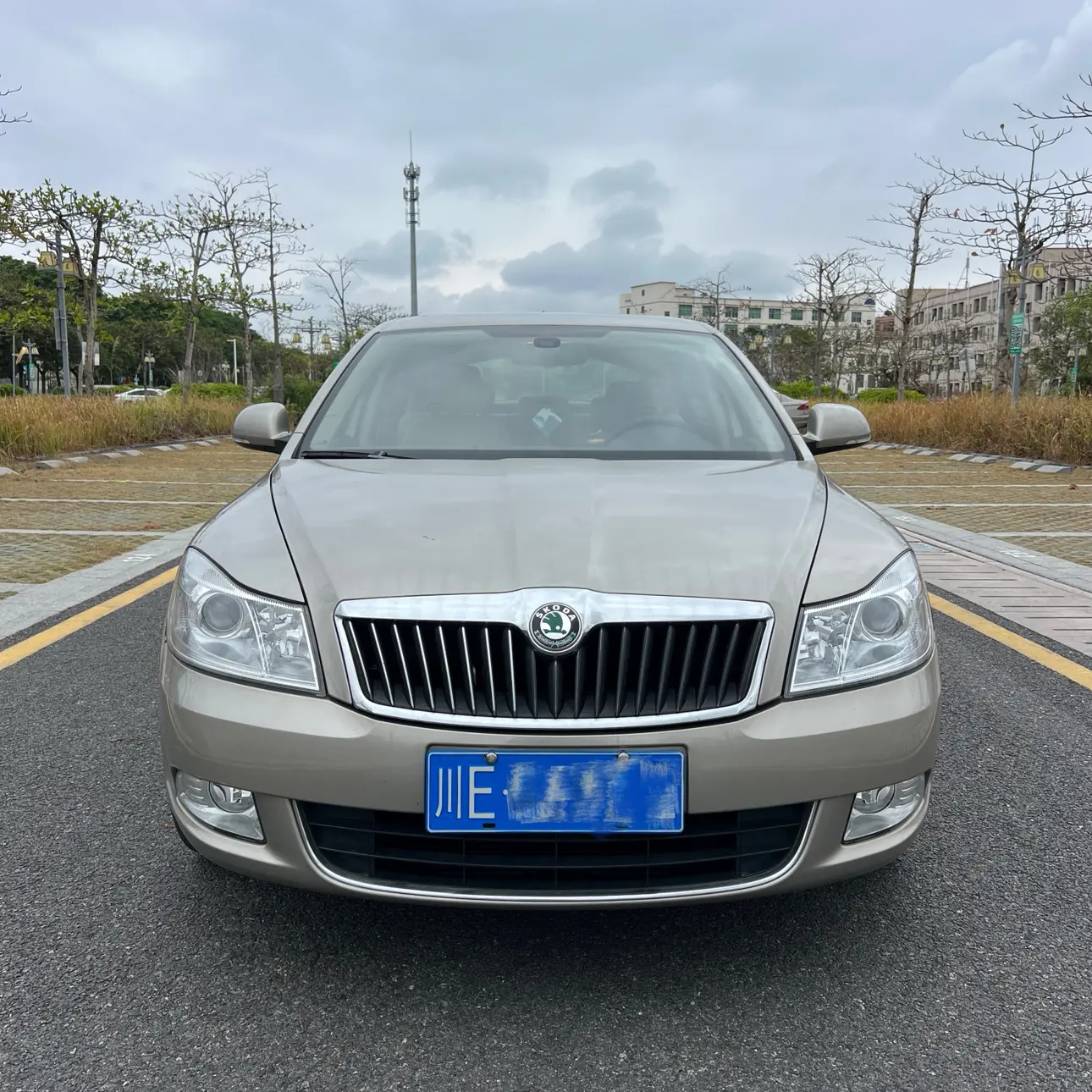 Skoda Octavia  из Китая