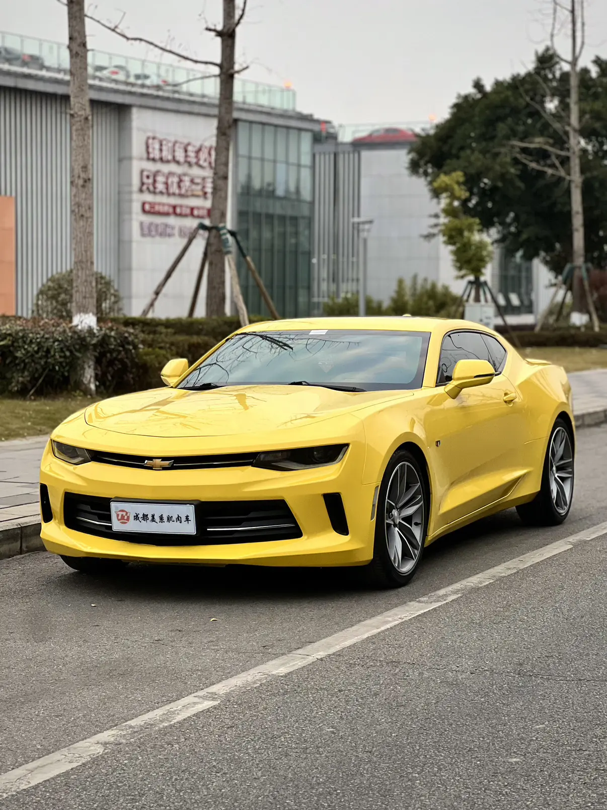 Chevrolet Camaro