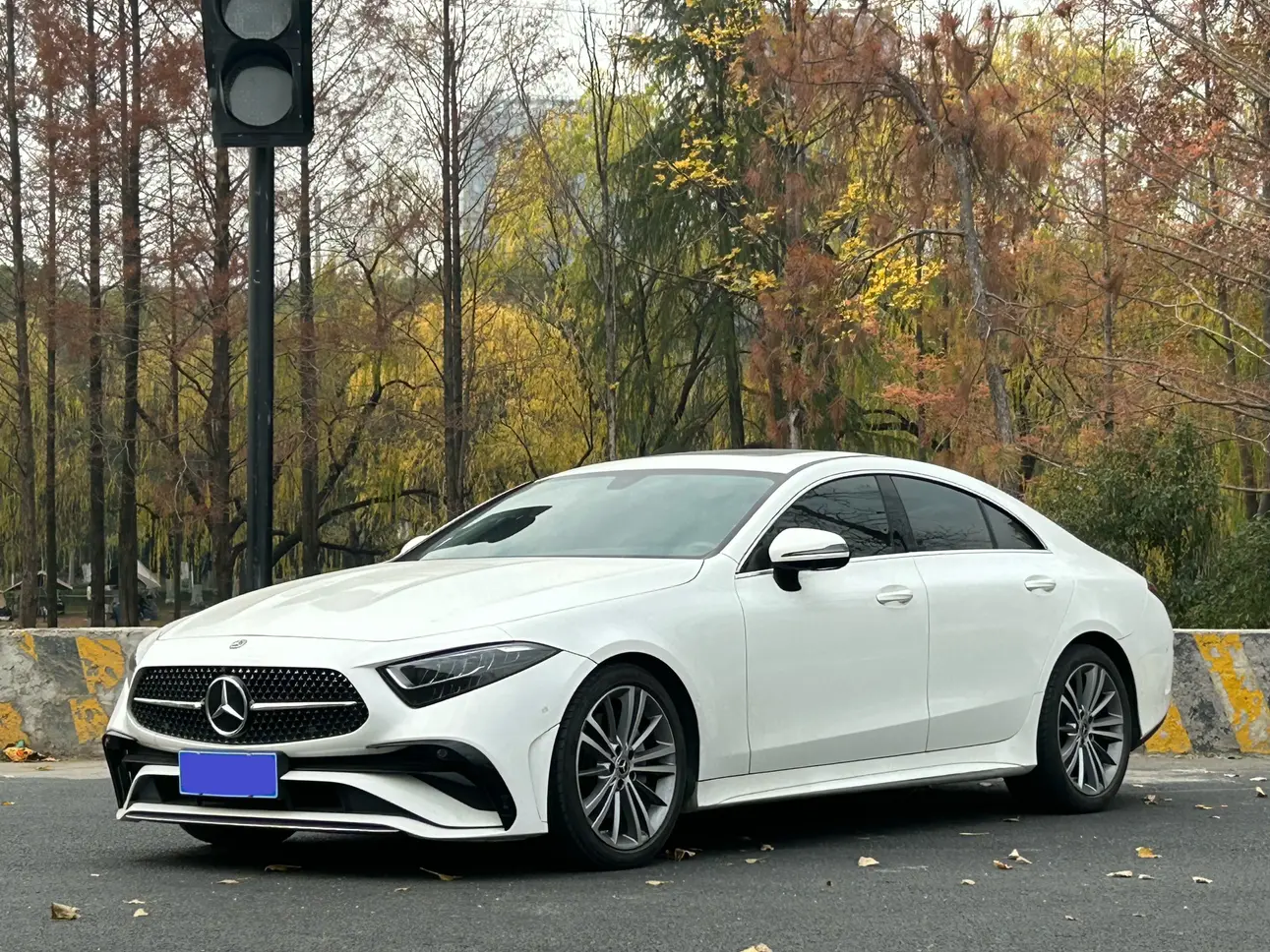 Mercedes-Benz Mercedes Benz CLS  из Китая