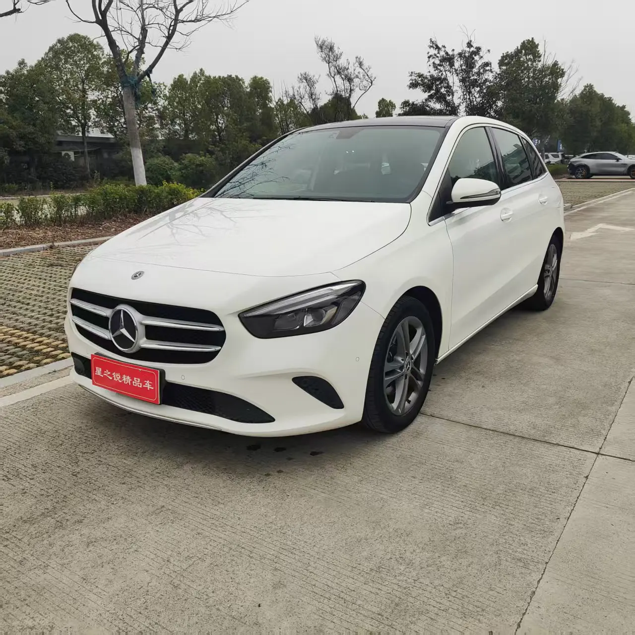 Mercedes-Benz Mercedes Benz B Class  из Китая