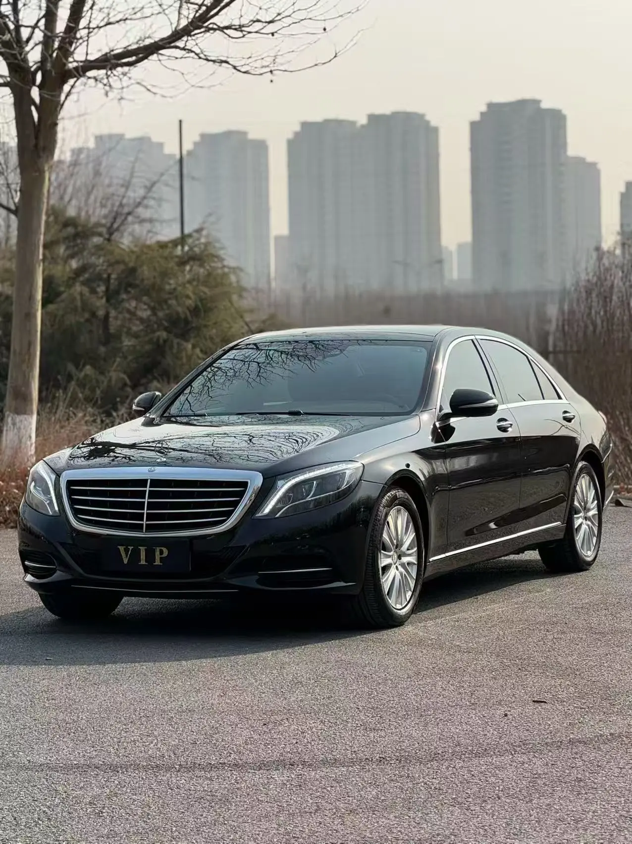 Mercedes-Benz Mercedes Benz S Class  из Китая