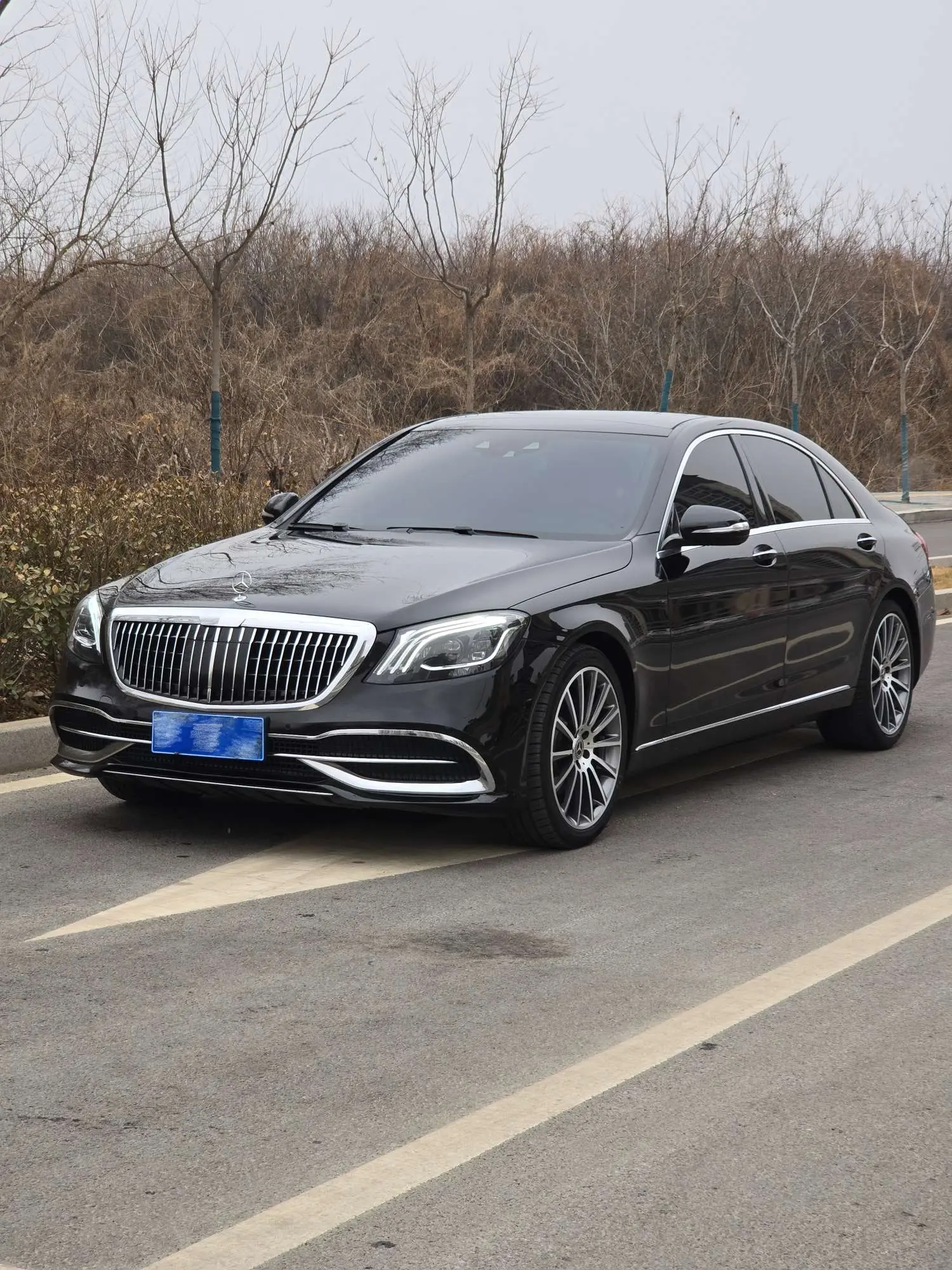 Mercedes-Benz Mercedes Benz S Class  из Китая