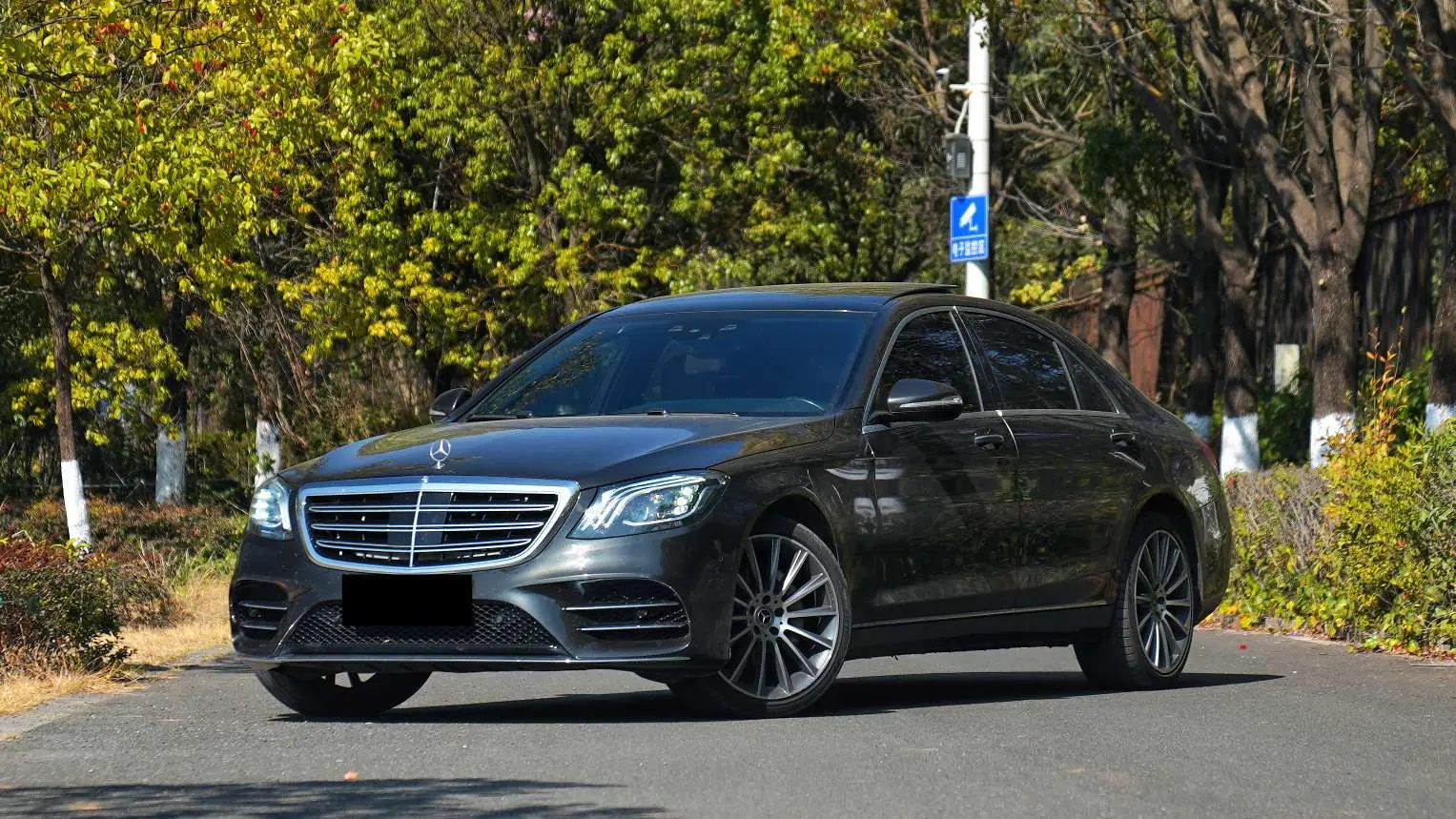 Mercedes-Benz Mercedes Benz S Class  из Китая