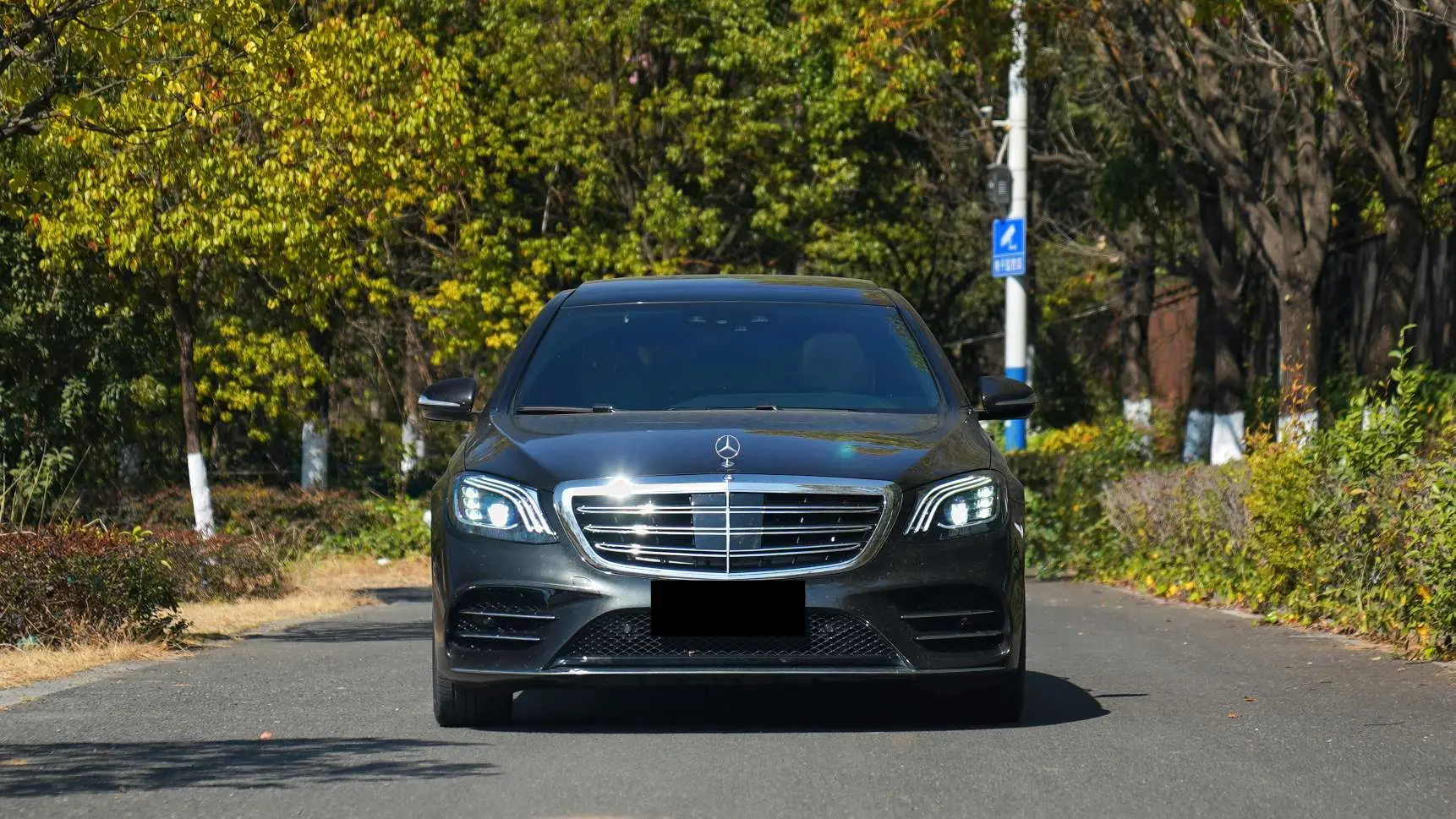 Mercedes-Benz Mercedes Benz S Class  из Китая