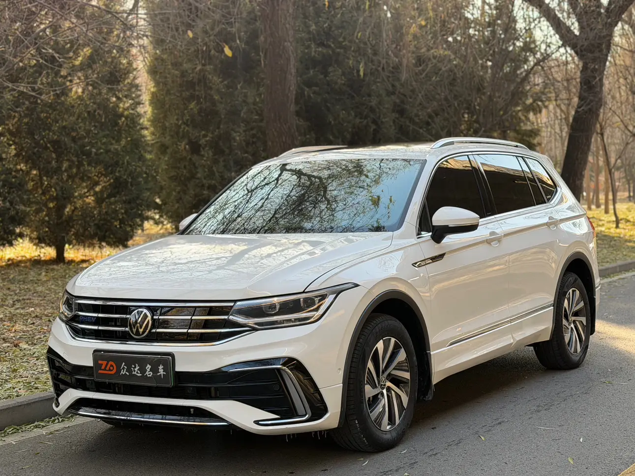 Volkswagen Tiguan L PHEV  из Китая