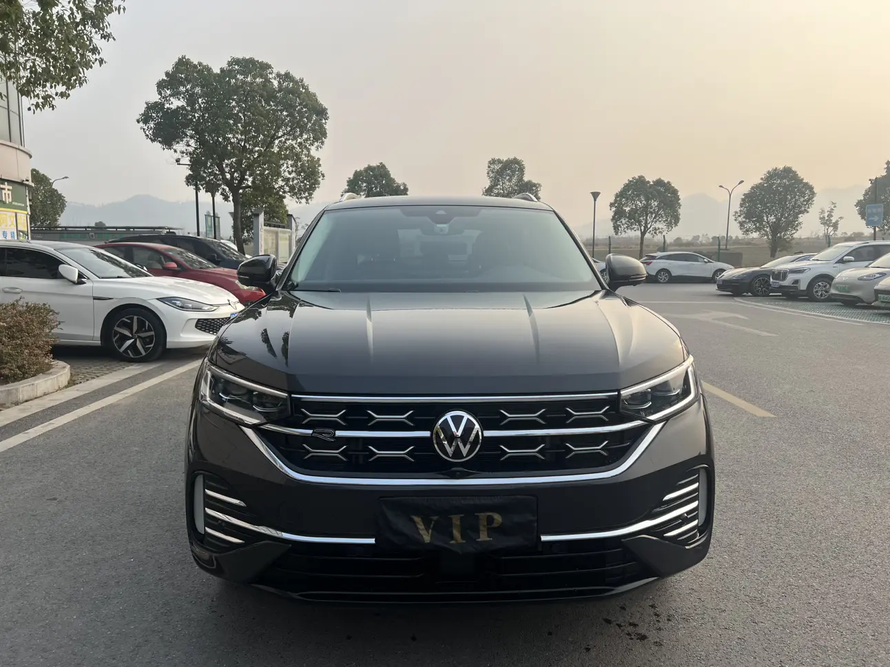 Volkswagen Tayron  из Китая