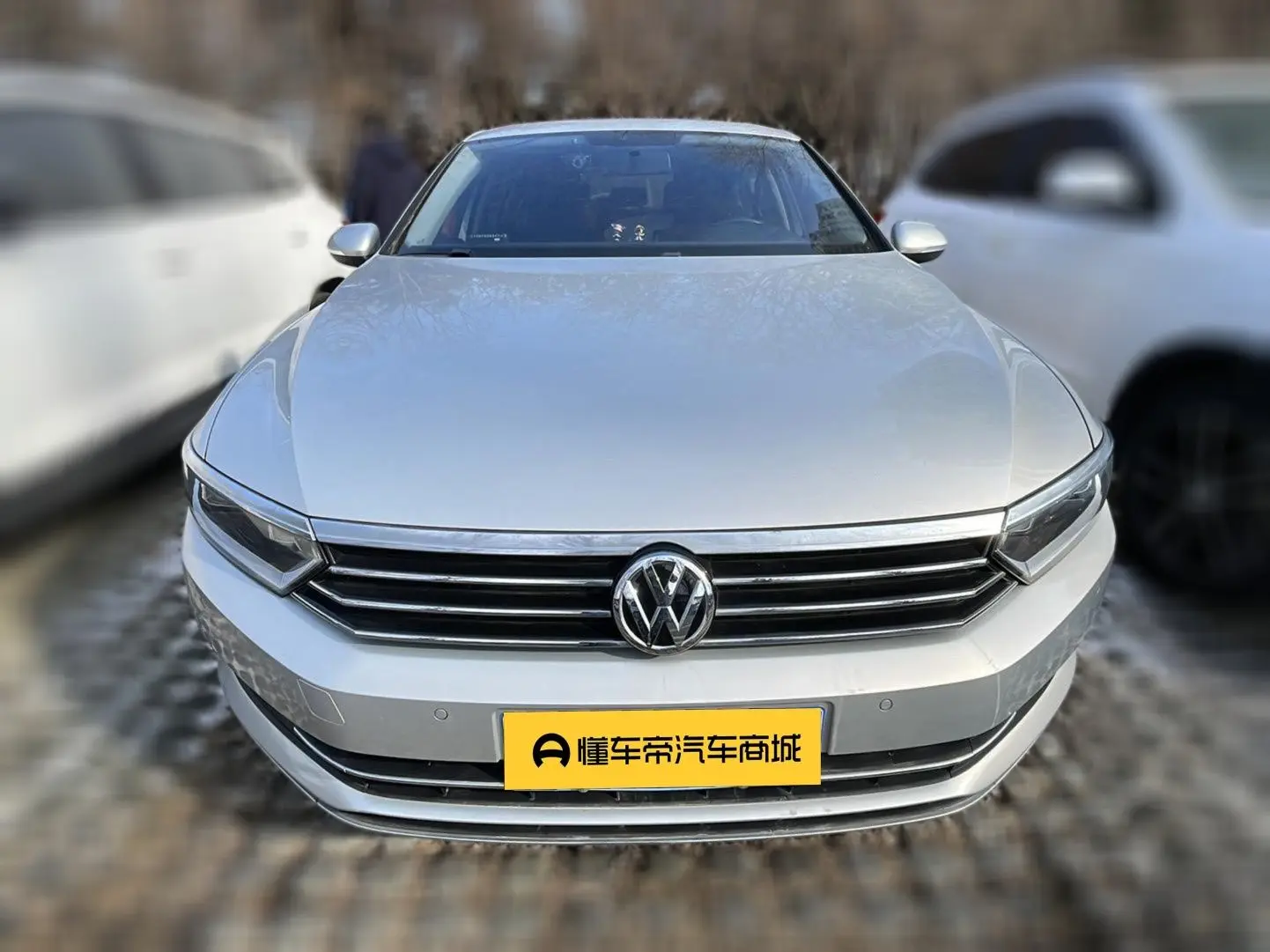 Volkswagen Magotan  из Китая