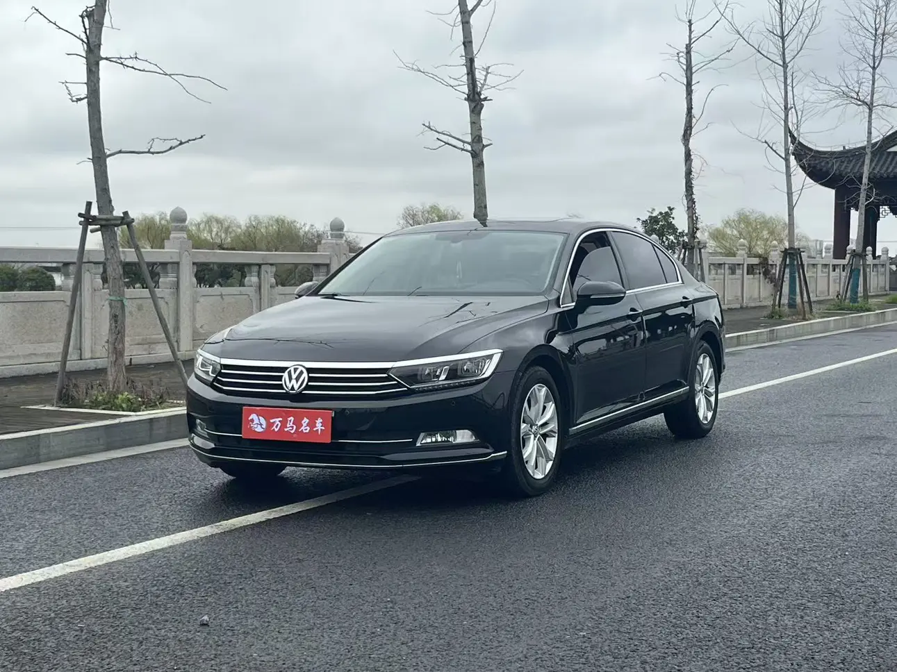 Volkswagen Magotan  из Китая