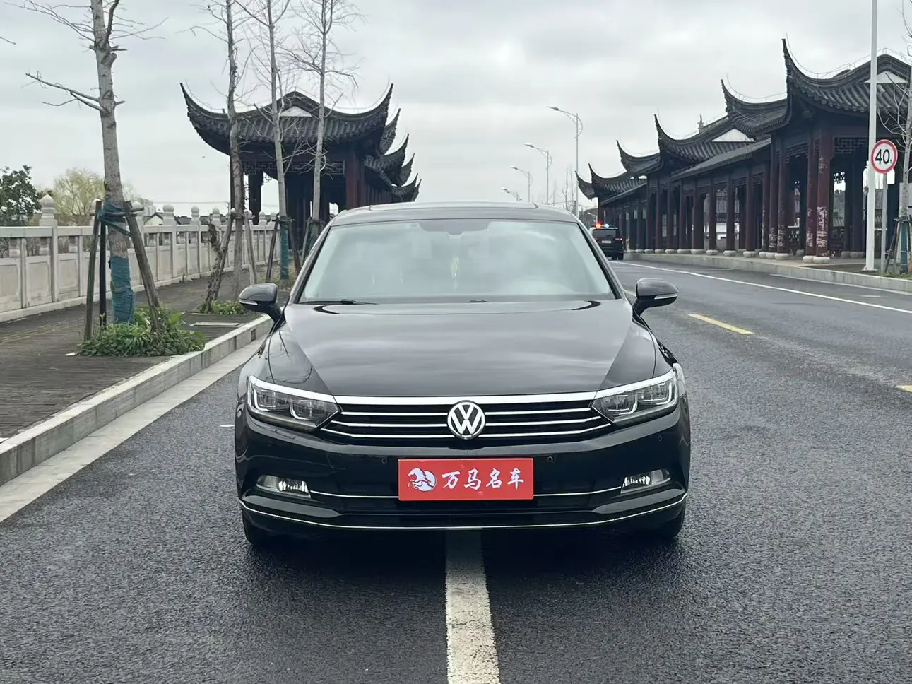 Volkswagen Magotan  из Китая