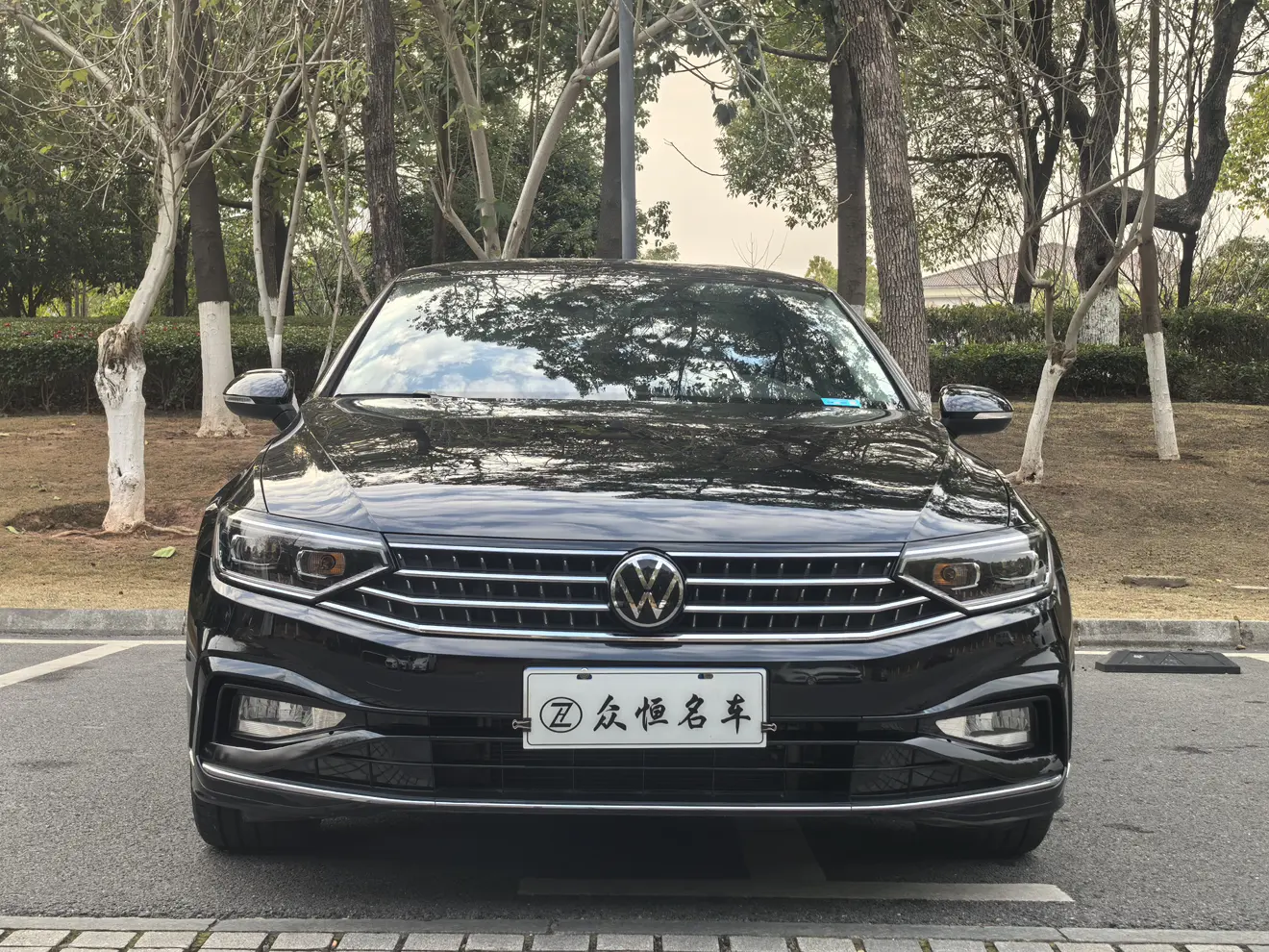 Volkswagen Magotan  из Китая