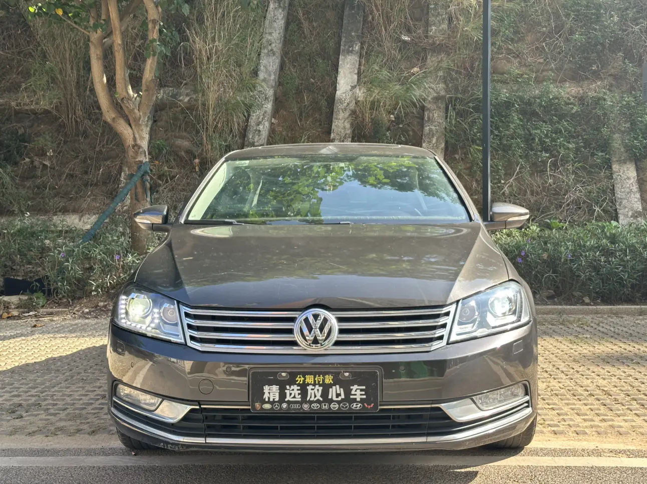 Volkswagen Magotan  из Китая