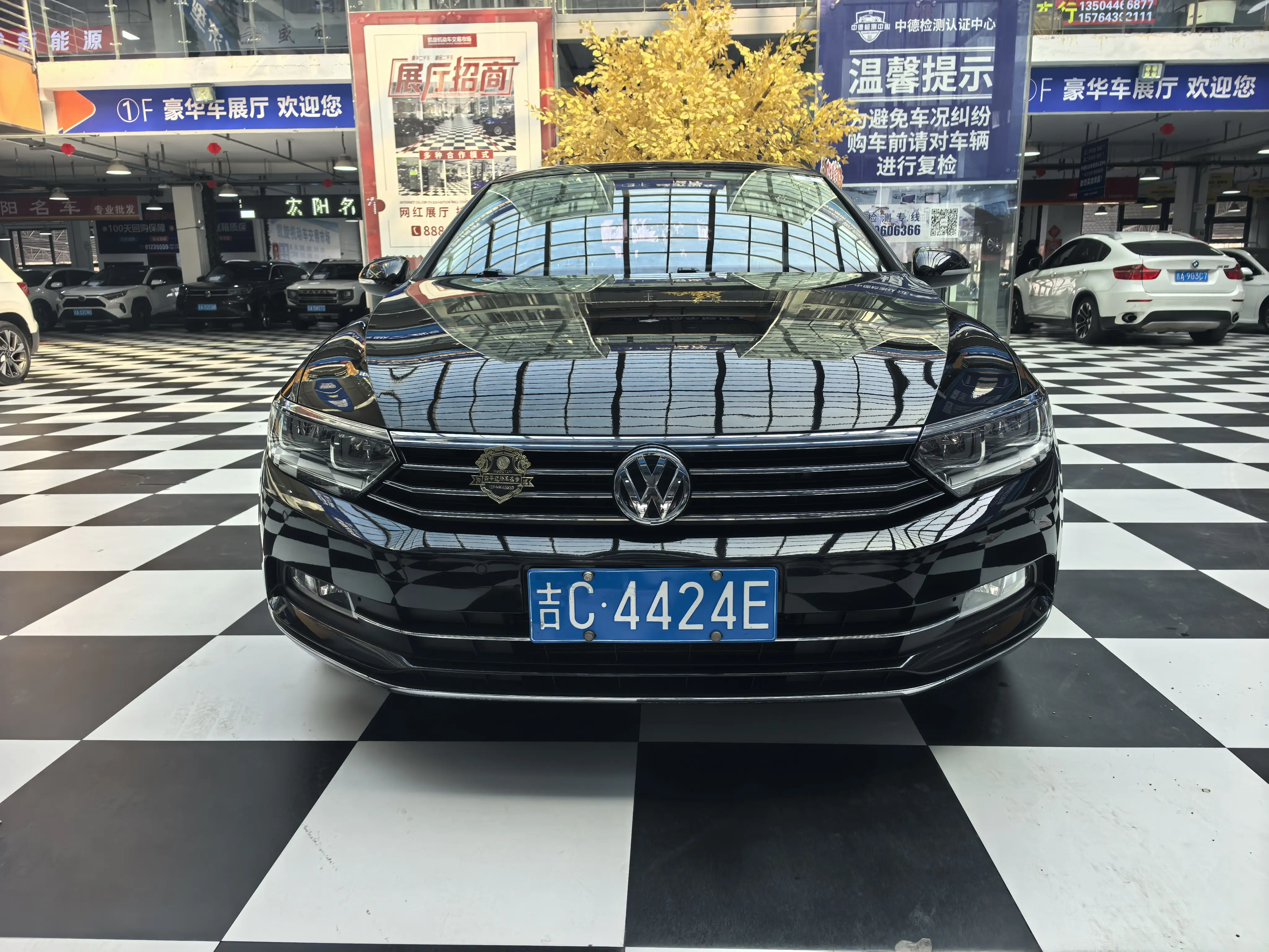 Volkswagen Magotan  из Китая