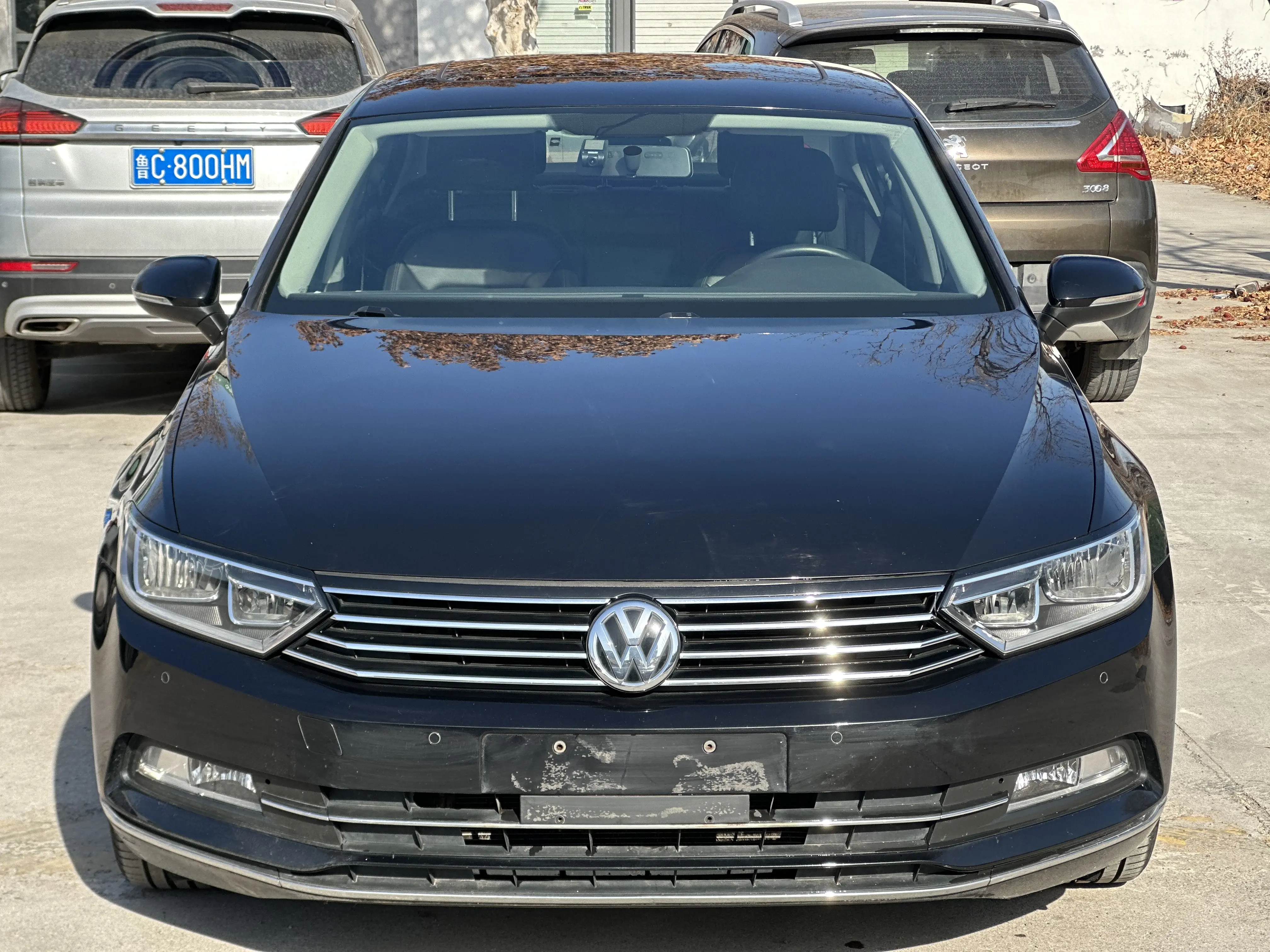 Volkswagen Magotan  из Китая