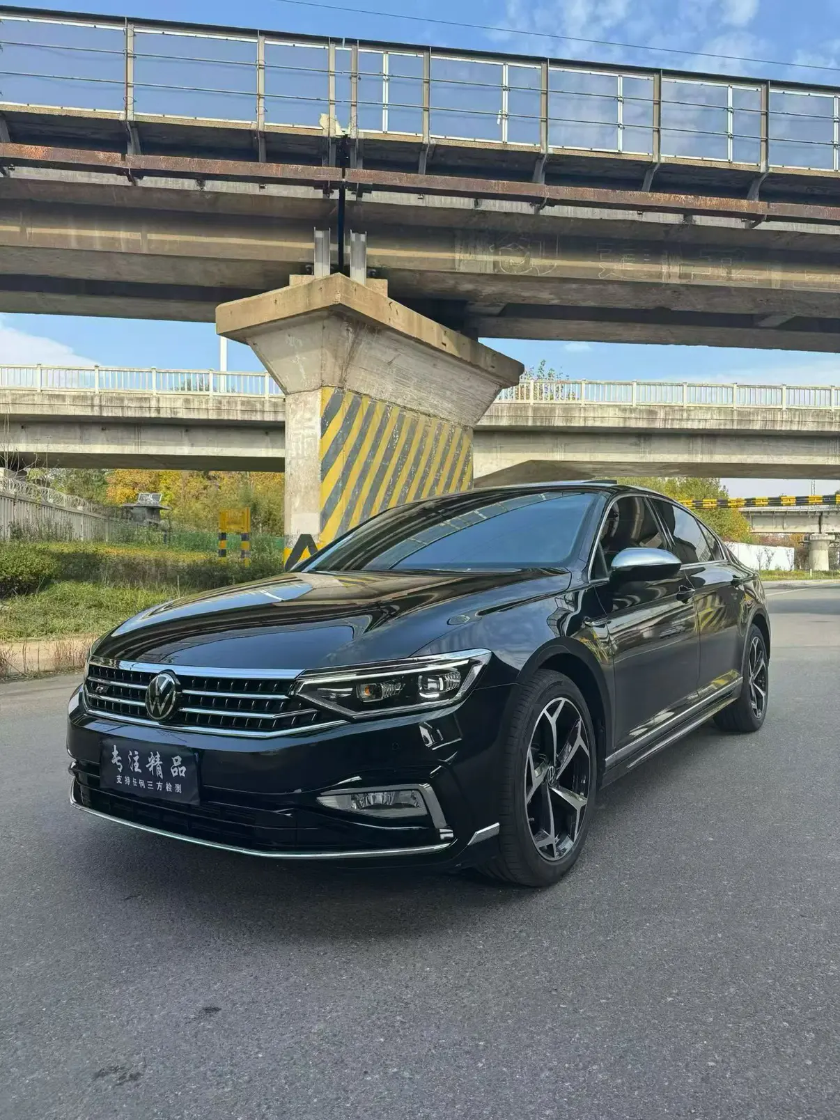 Volkswagen Magotan  из Китая